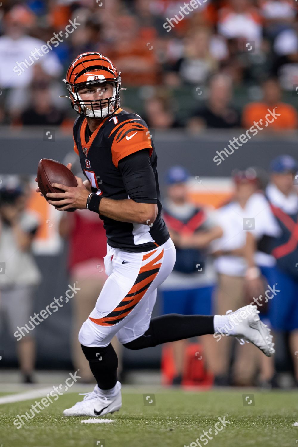 Cincinnati Bengals quarterback Jake Dolegala (7) during NFL football  preseason game action between the Indianapolis Colts and the Cincinnati  Bengals at Paul Brown Stadium in Cincinnati, OH. Adam Lacy/CSM Stock Photo 