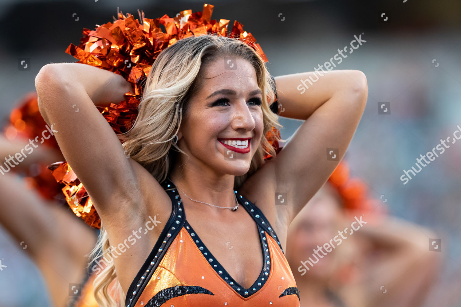 Cincinnati Bengals Cheerleader Performs During Nfl Editorial Stock Photo -  Stock Image