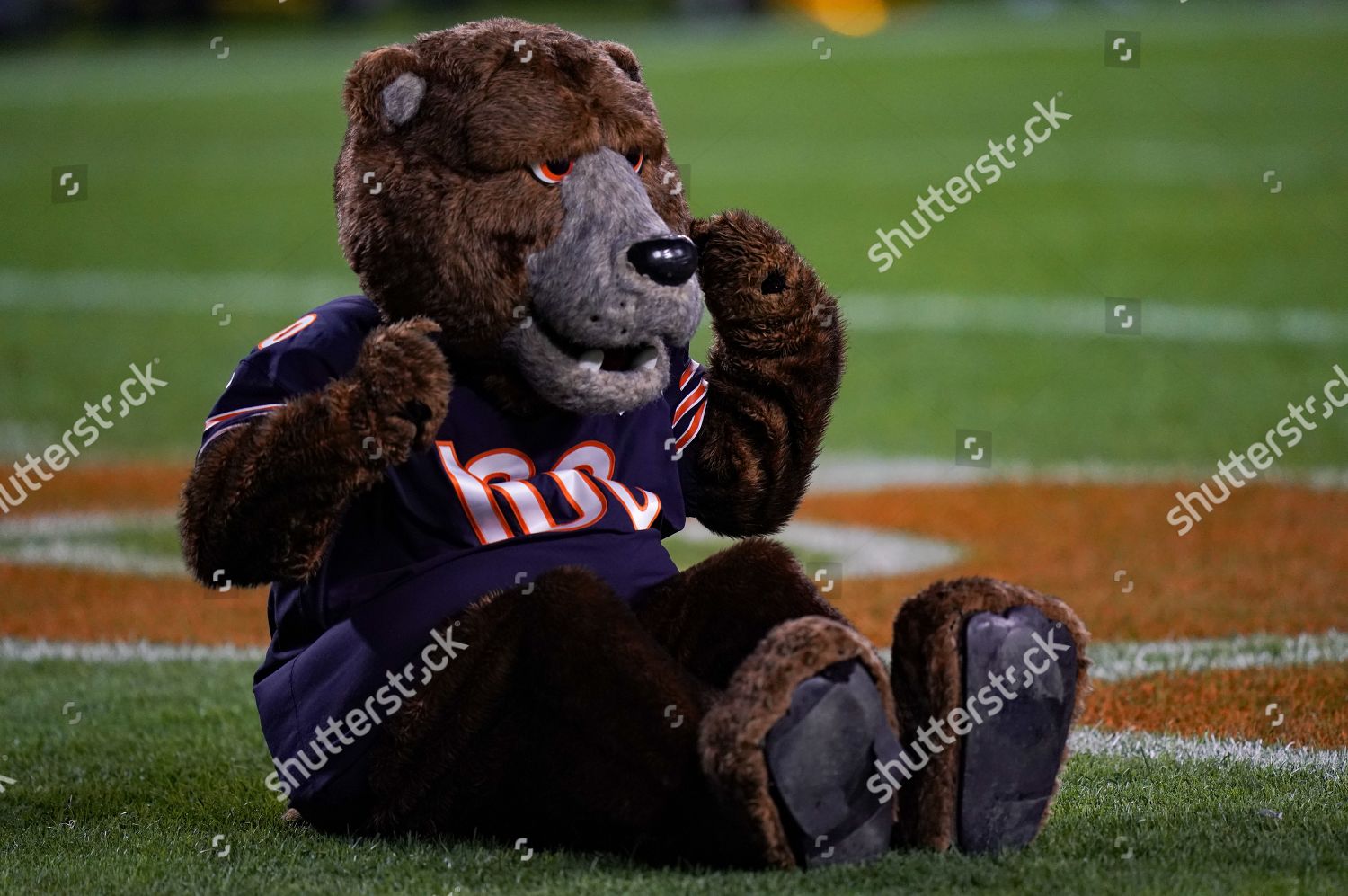 Who Is Chicago Bears Mascot Staley Da Bear?