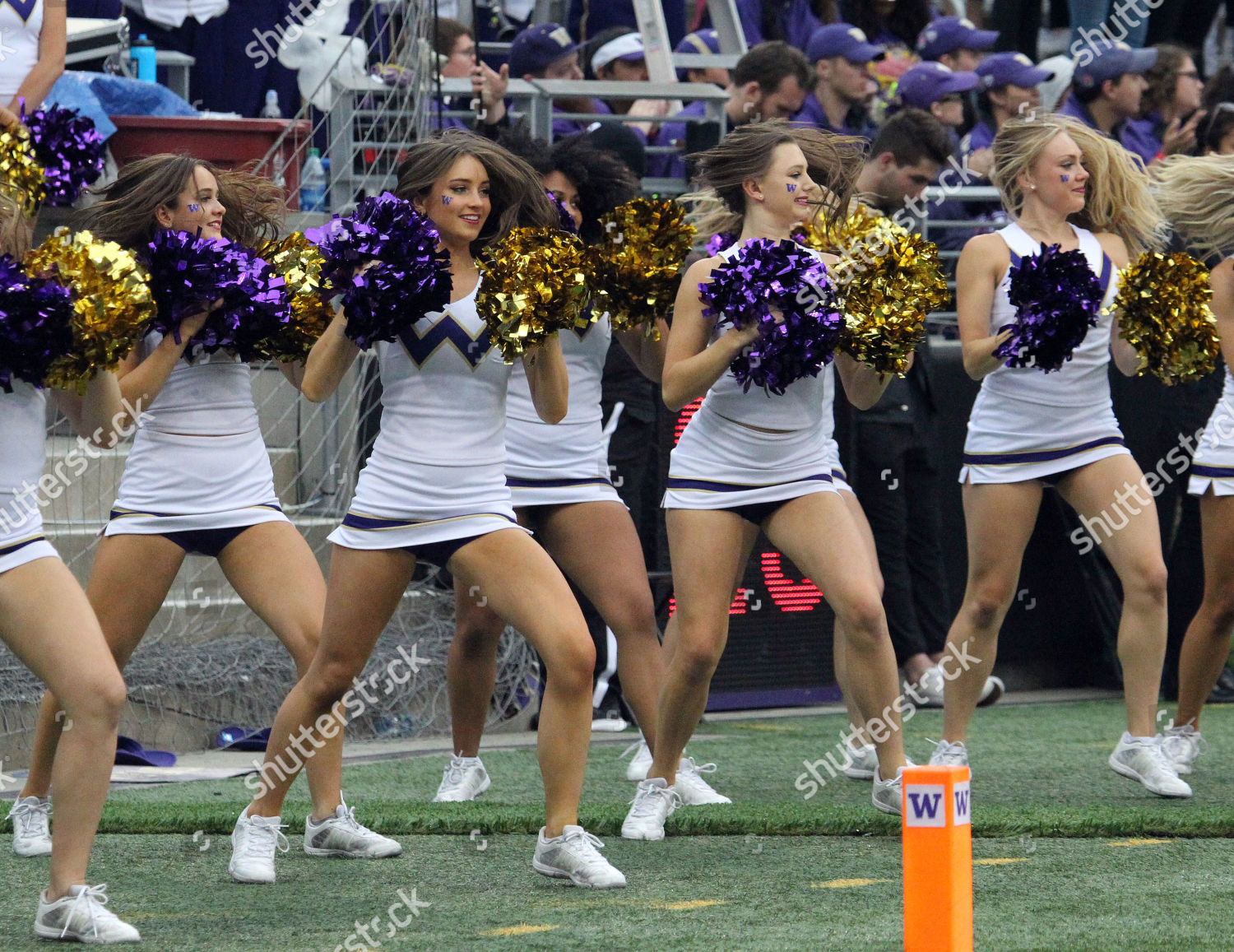 Husky Cheerleaders During Game Between Hawaii Editorial Stock Photo