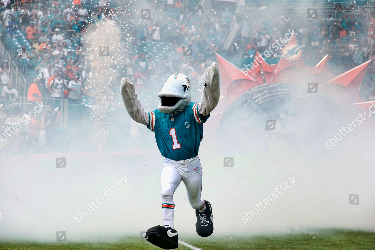 Who Is Miami Dolphins Mascot TD?