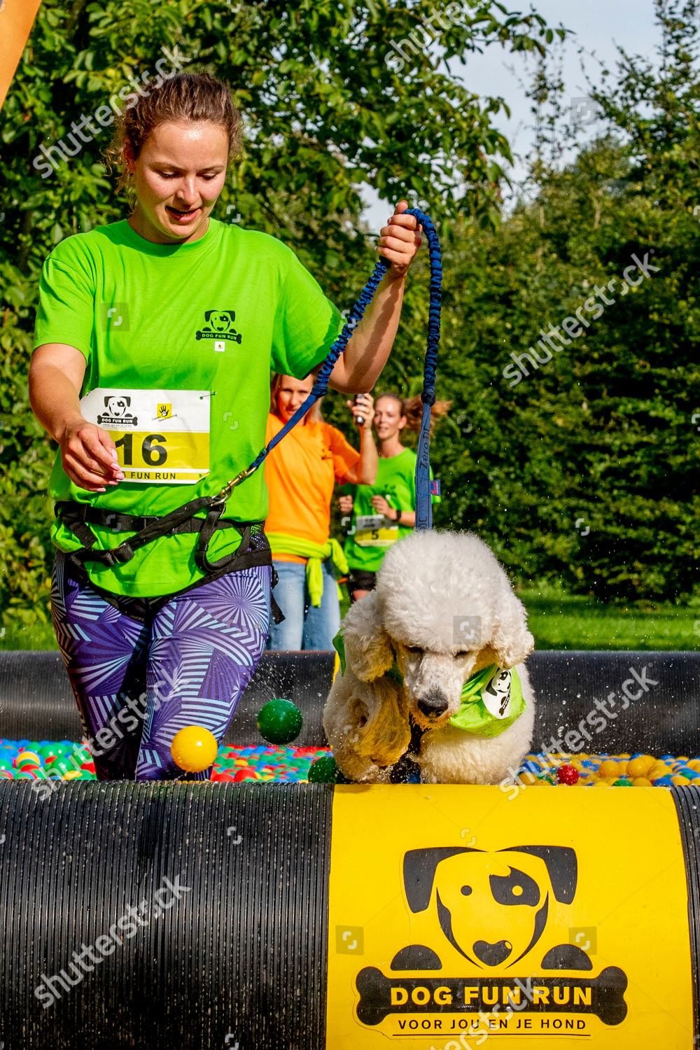 People Take Part Dog Fun Run Editorial Stock Photo Stock Image