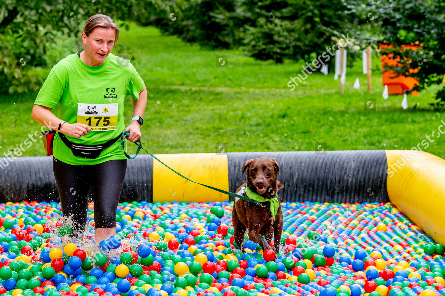 People Take Part Dog Fun Run Editorial Stock Photo Stock Image