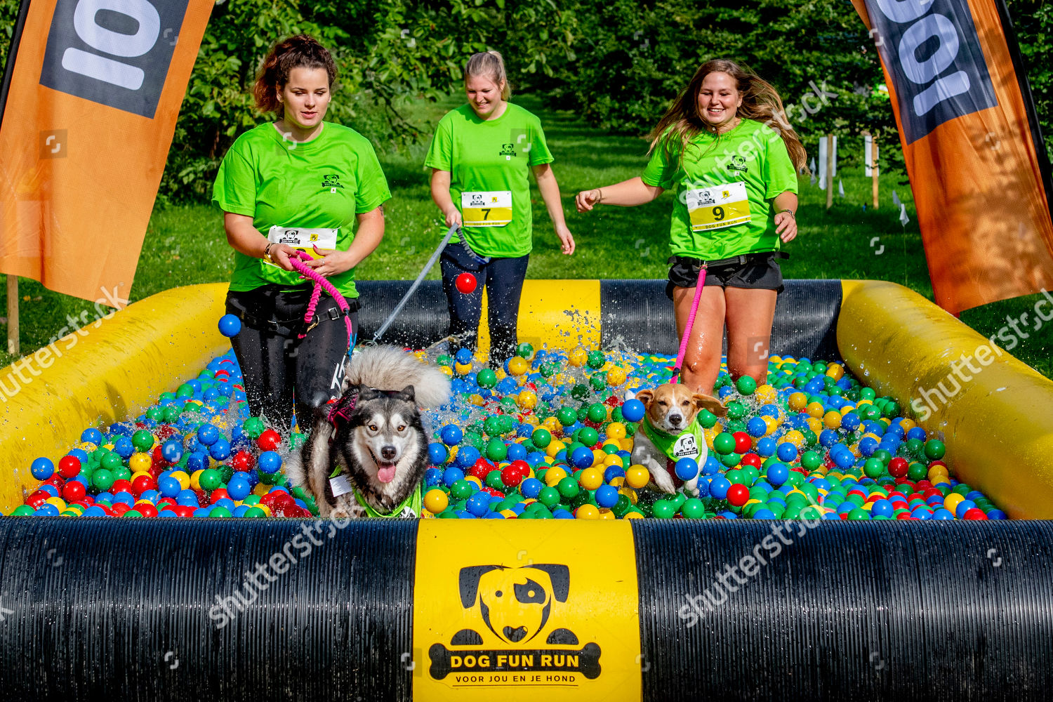 People Take Part Dog Fun Run Editorial Stock Photo Stock Image