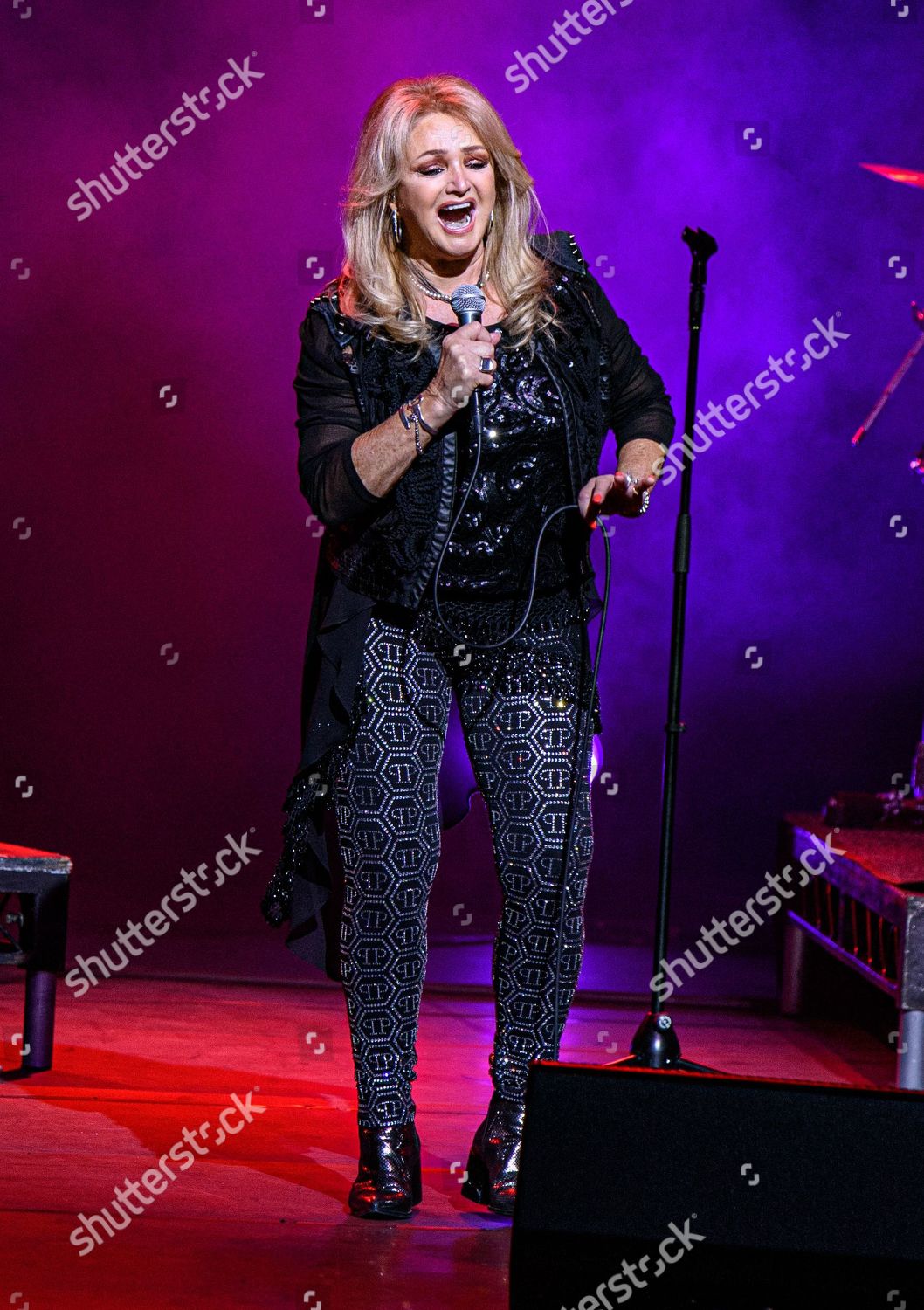 Bonnie Tyler Editorial Stock Photo Stock Image Shutterstock