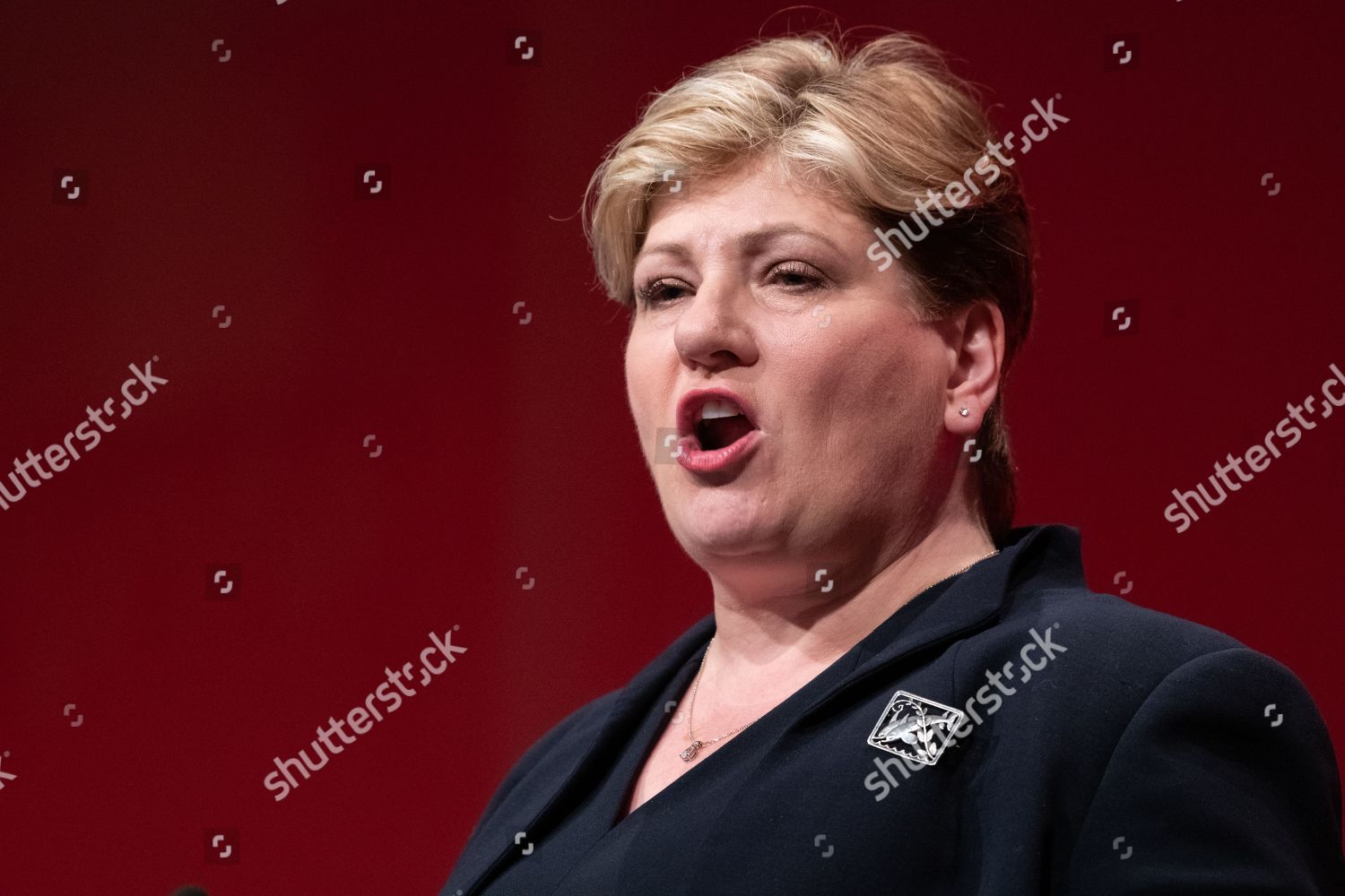 Emily Thornberry Mp Labour Shadow Foreign Editorial Stock Photo - Stock ...