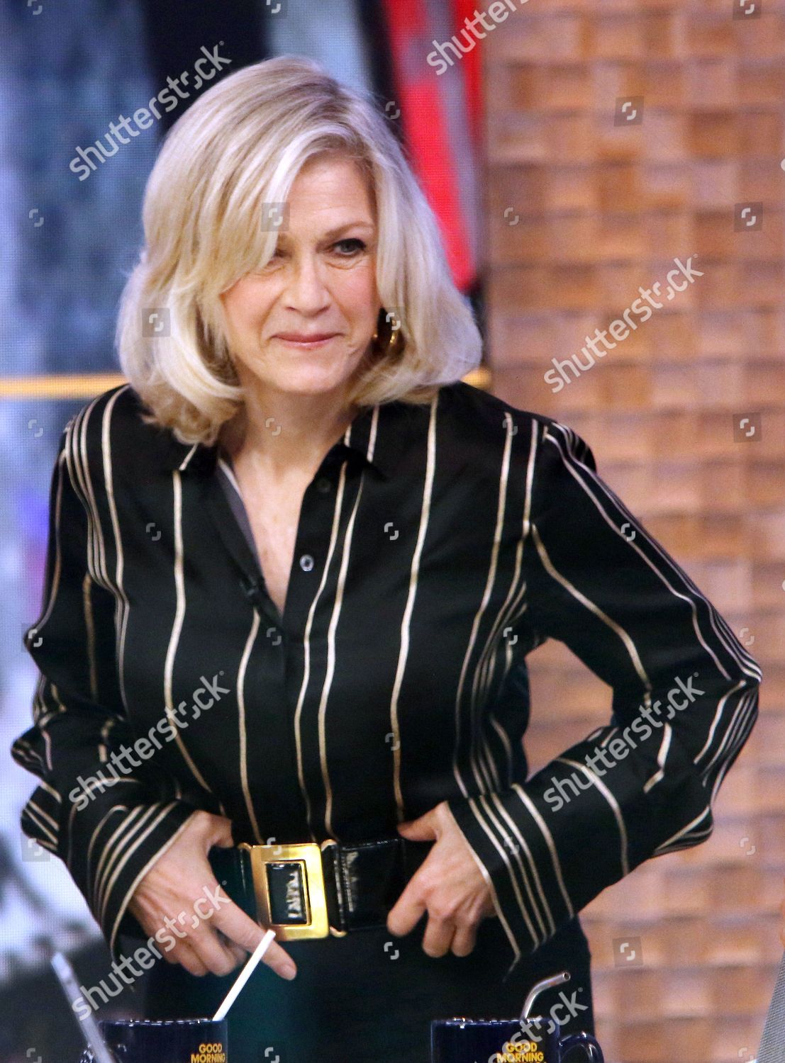 Diane Sawyer Editorial Stock Photo - Stock Image | Shutterstock
