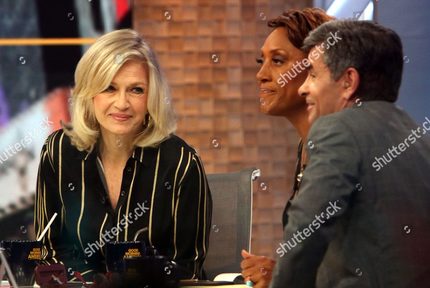 Diane Sawyer Editorial Stock Photo - Stock Image | Shutterstock