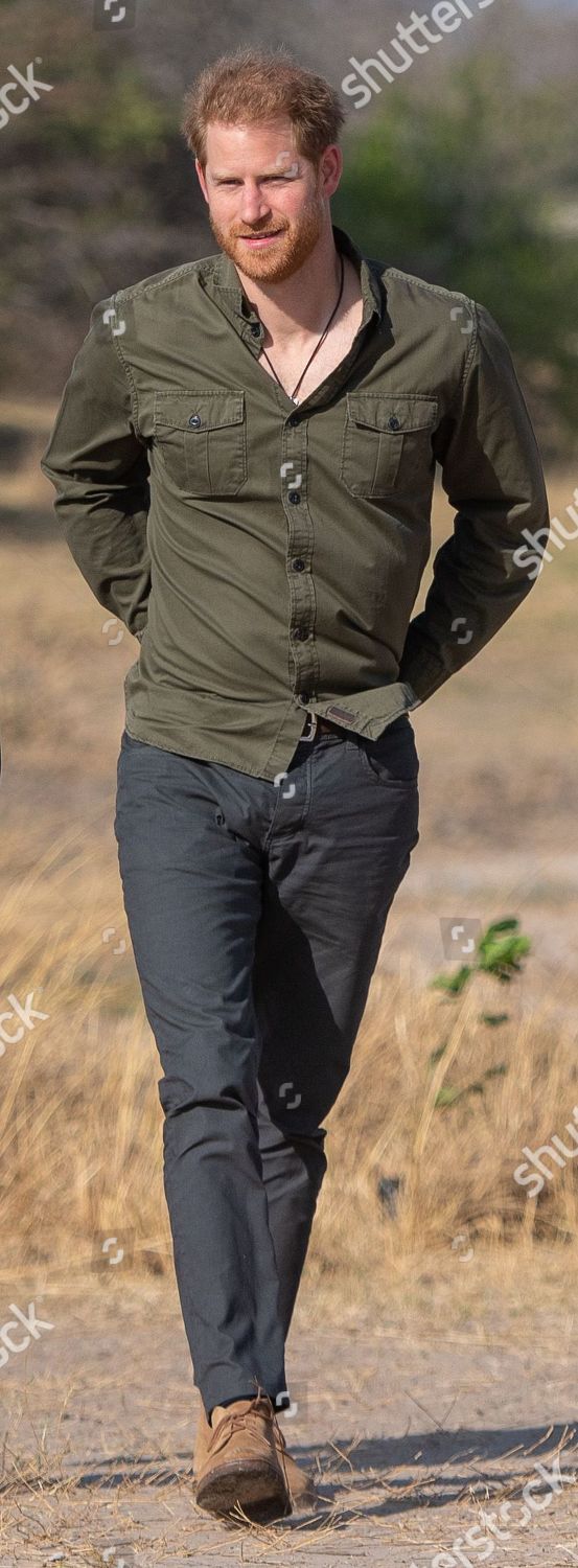 prince-harry-visit-to-africa-shutterstock-editorial-10424667ad.jpg