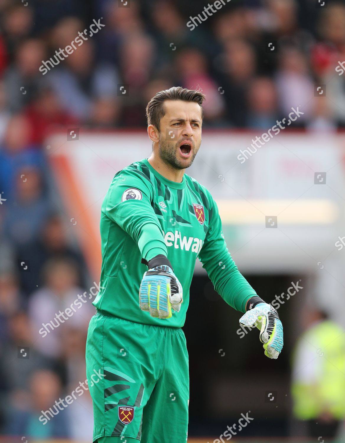 Goalkeeper Lukasz Fabianski West Ham United Editorial Stock Photo ...