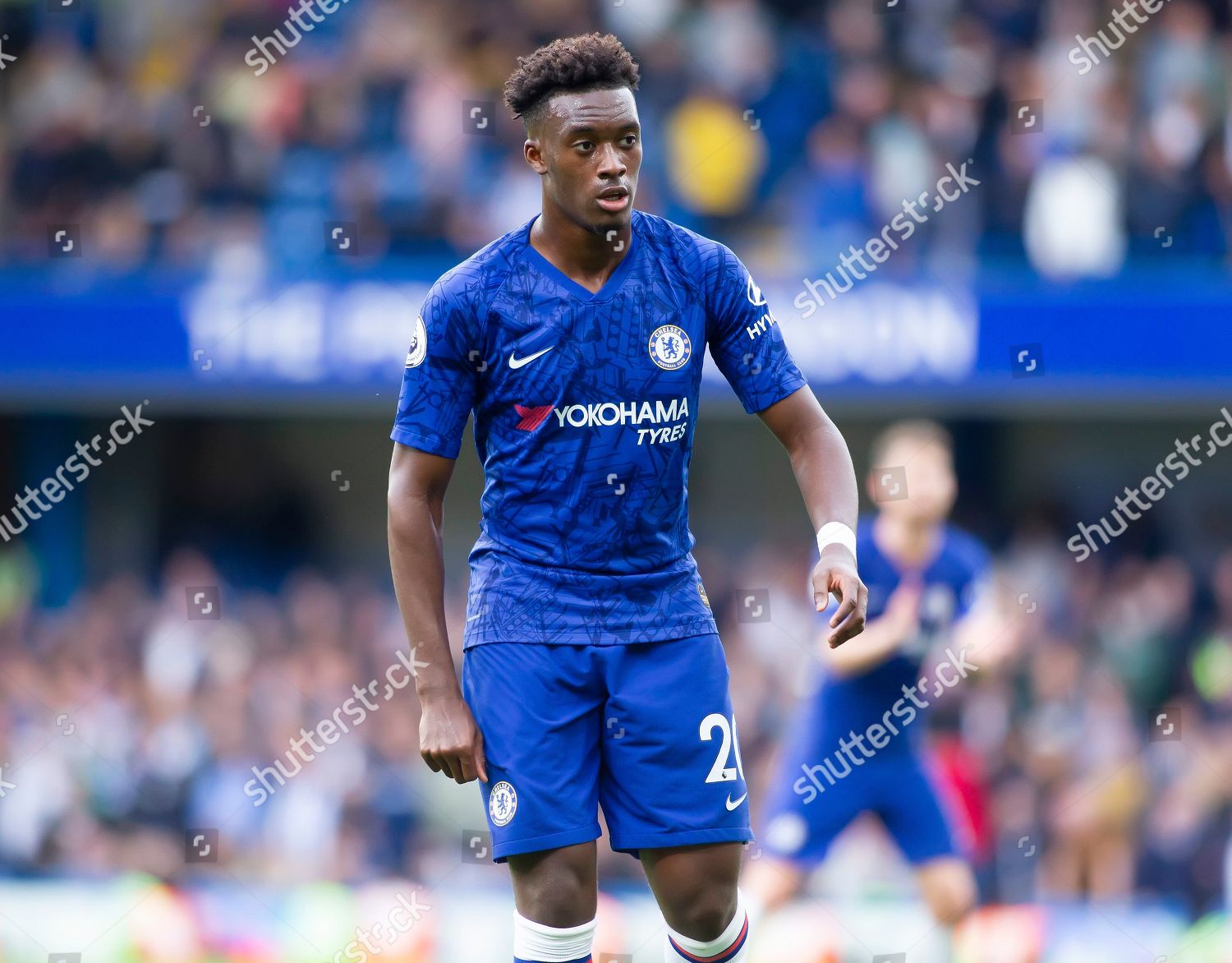 Callum Hudsonodoi Chelsea Action After Long Editorial Stock Photo ...