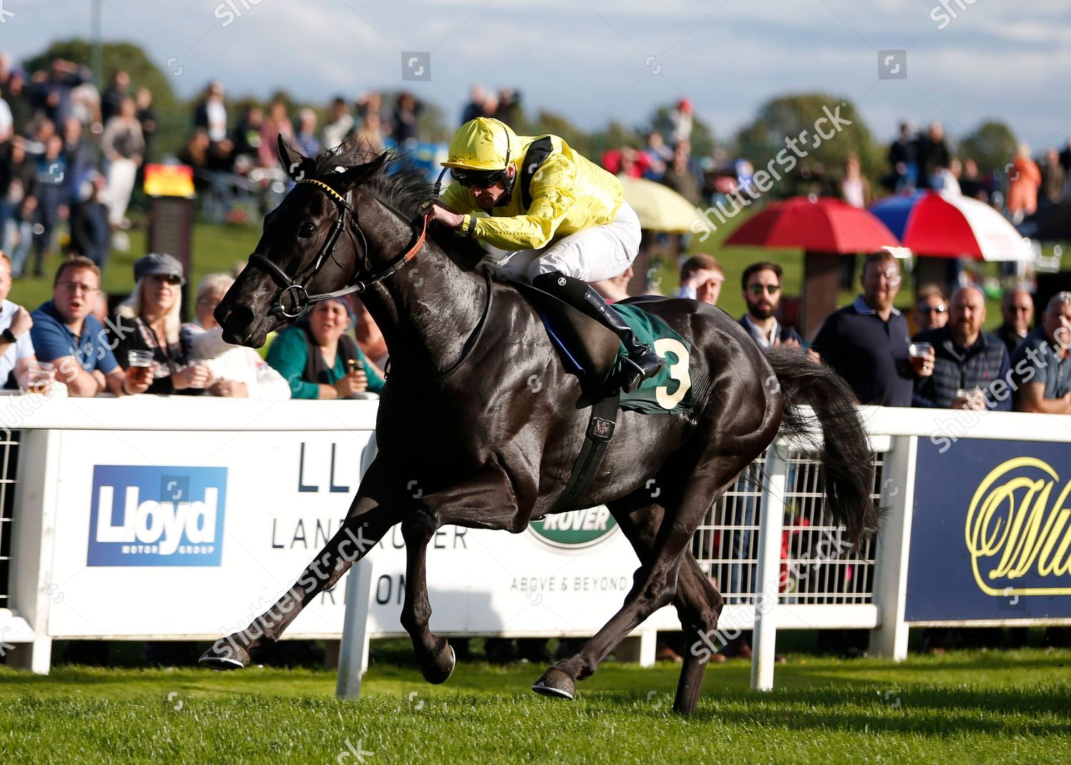 Tammooz Jack Mitchell Win Michael Raby Editorial Stock Photo - Stock ...