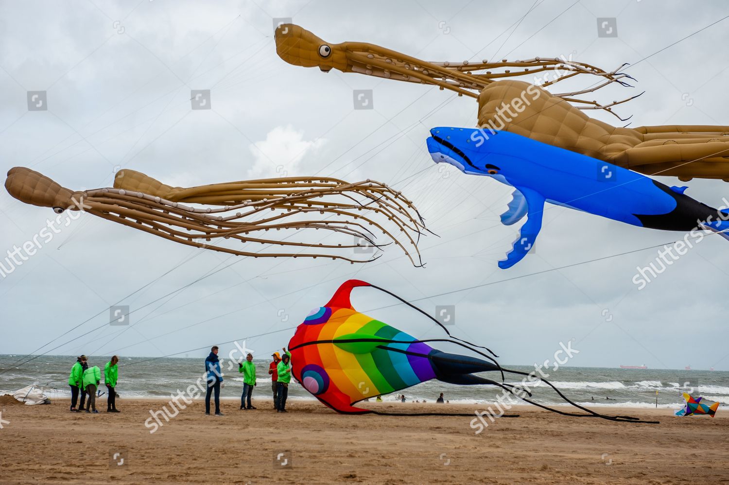 Sea Animal Kites Flying Beach Editorial Stock Photo Stock