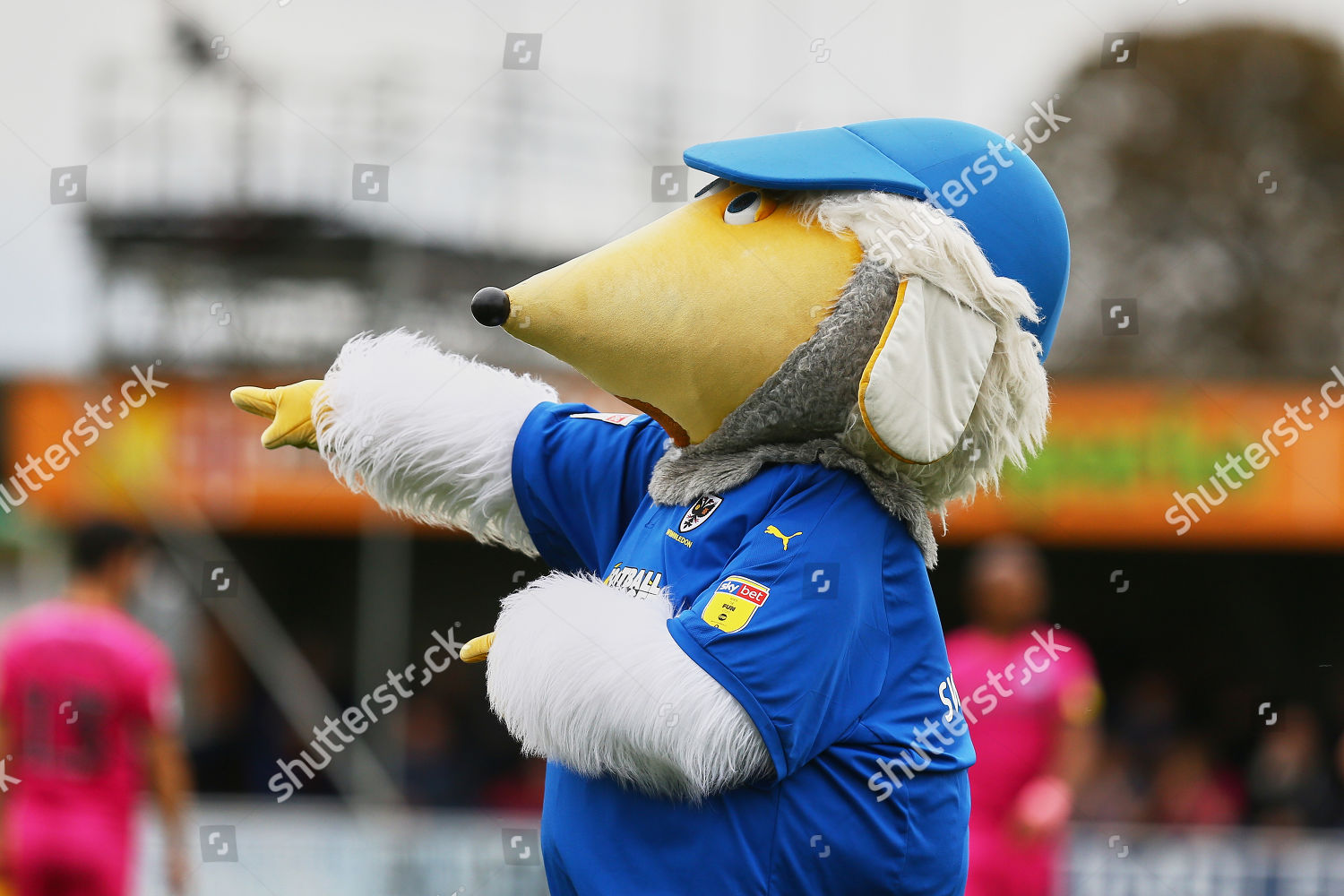 Afc Wimbledon Mascot Haydon During Afc Editorial Stock Photo - Stock ...