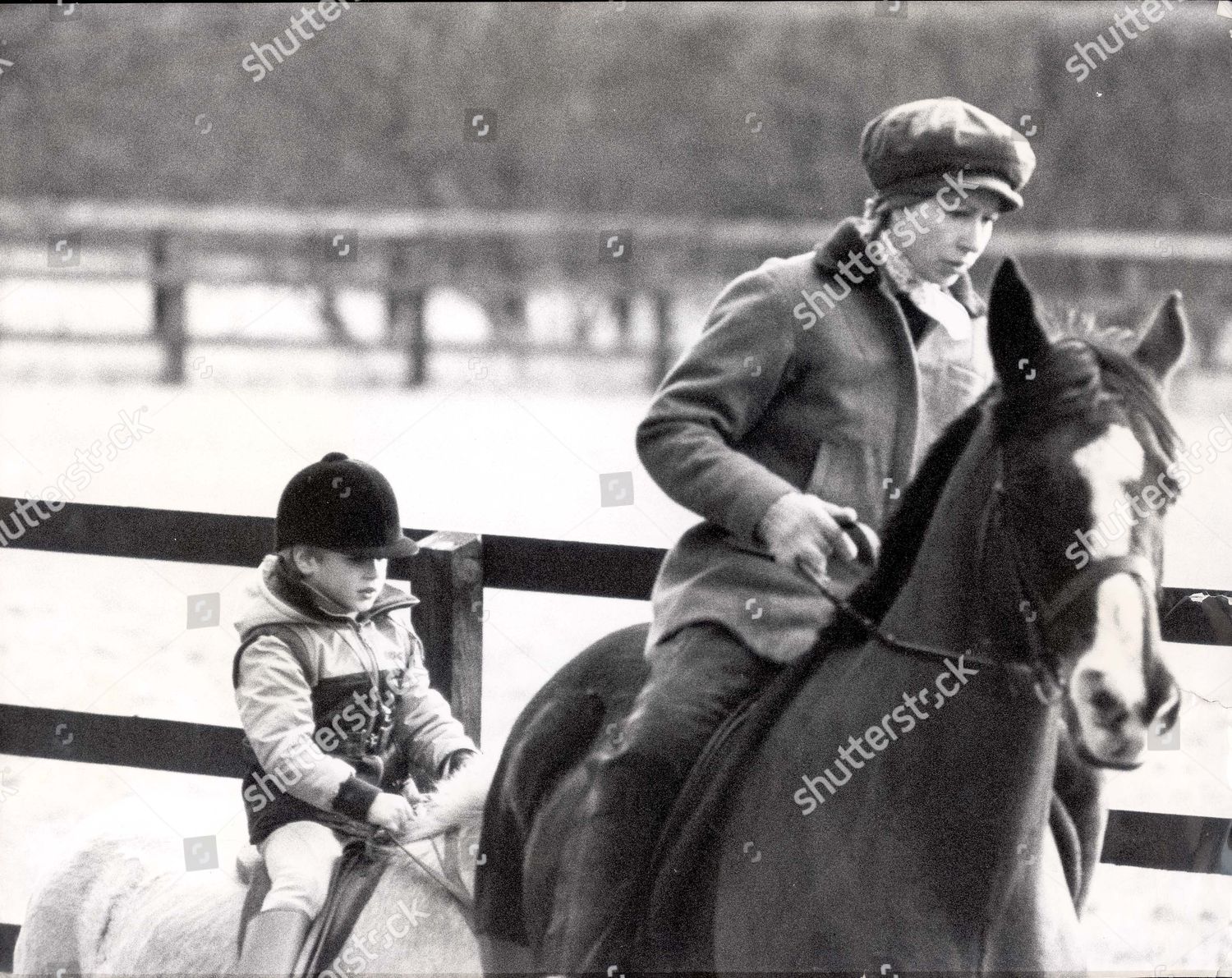 princess-anne-now-princess-royal-horse-riding-picture-shows-princess-anne-and-son-peter-phillips-going-riding-at-sandringham-1983-shutterstock-editorial-1043730a.jpg