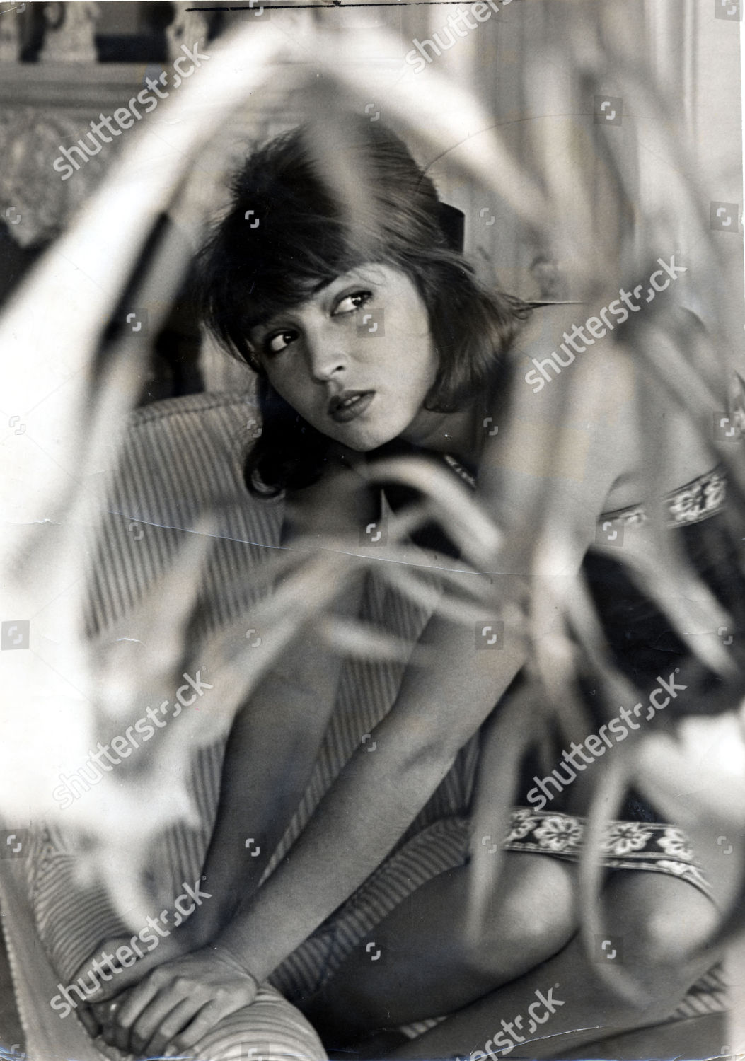 Dutch Actress Model Talitha Pol Dead Editorial Stock Photo - Stock ...