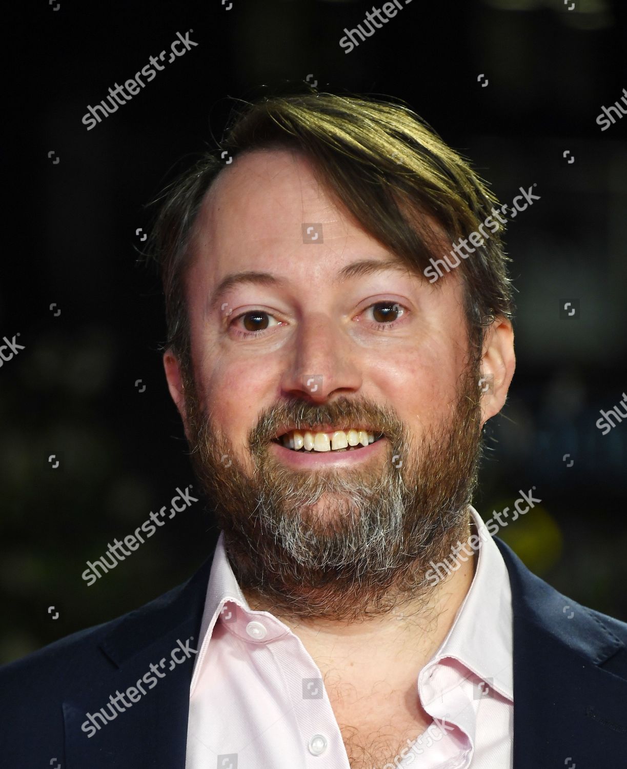 David Mitchell Poses Film Premiere Greed Editorial Stock Photo - Stock ...