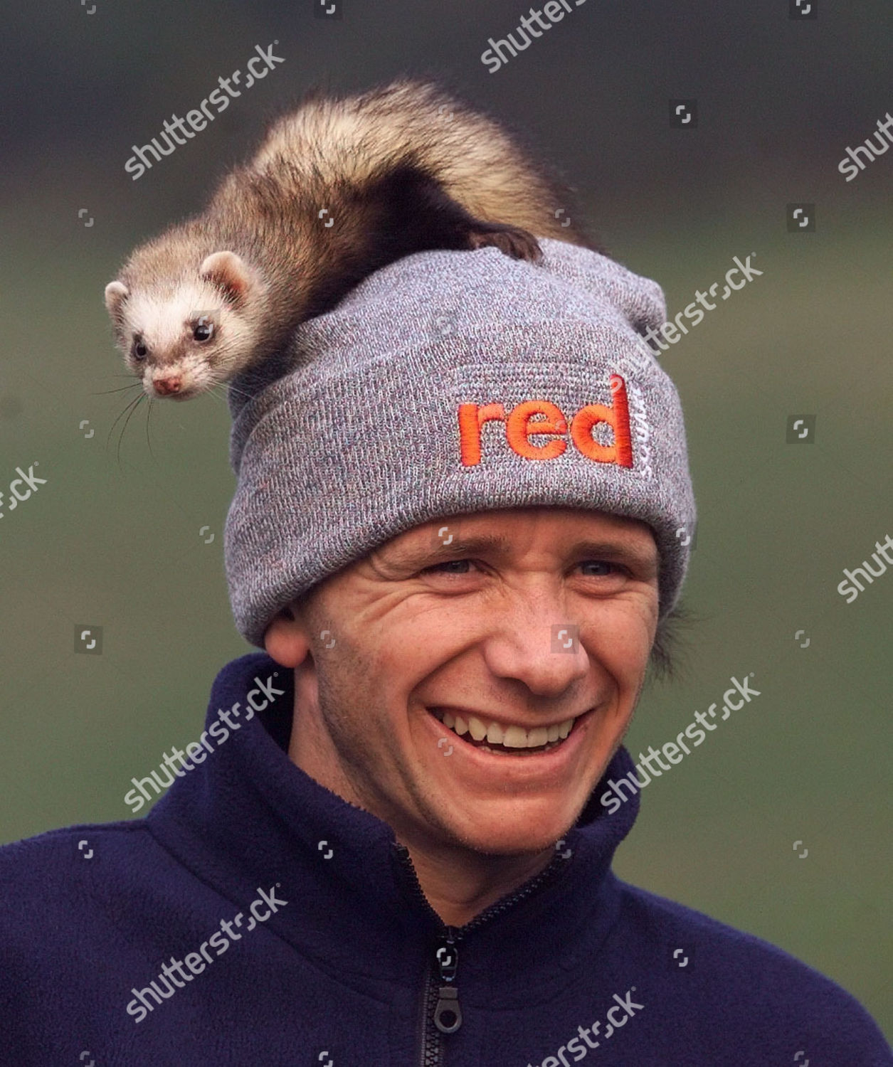 Boxer Paul Ingle One His Pet Ferret Editorial Stock Photo Stock Image Shutterstock