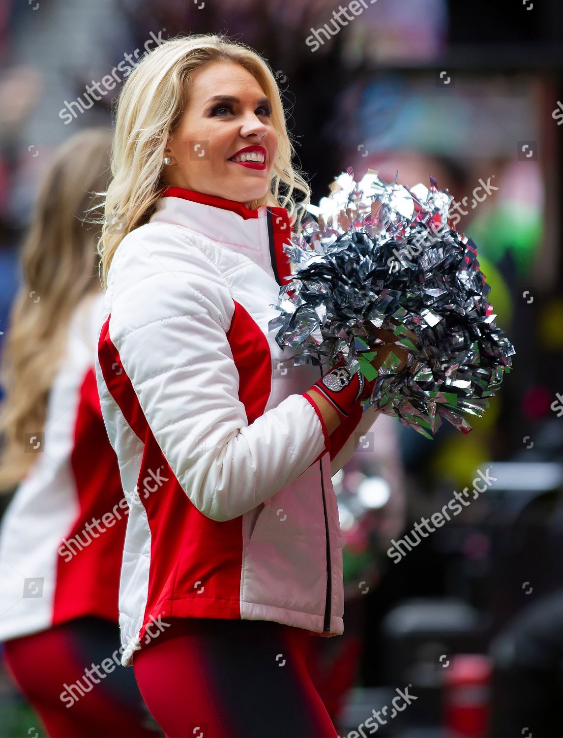 Carolina Panthers Cheerleader During Nfl Football Editorial Stock Photo -  Stock Image