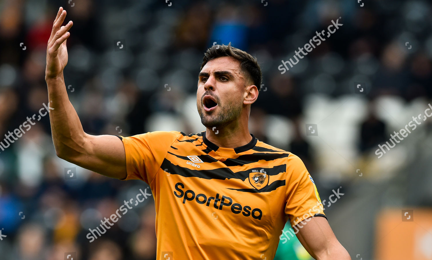 Ryan Tafazolli Hull City Editorial Stock Photo - Stock Image 