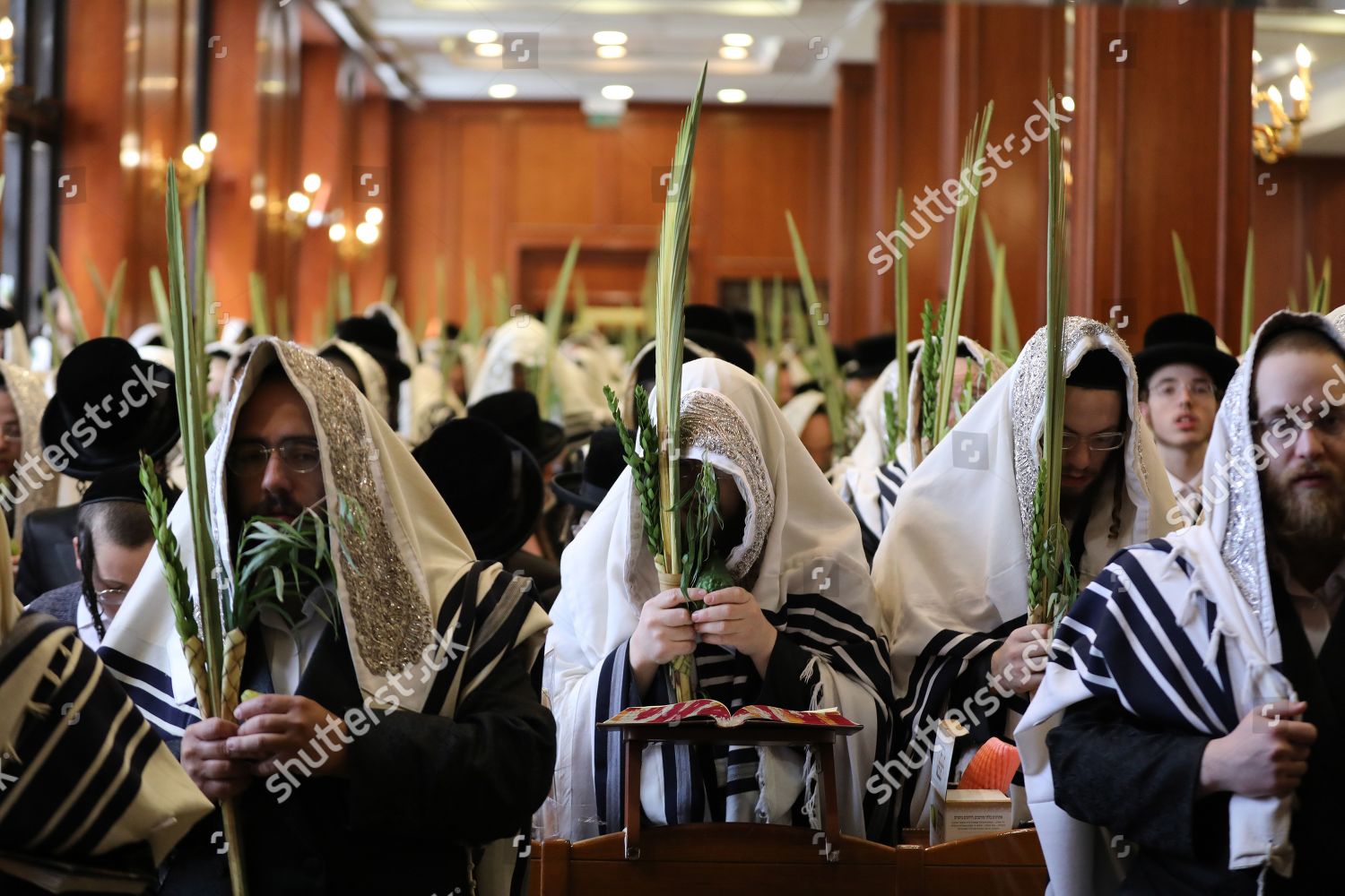 Ultraorthodox Jews Belz Hasidic Dynasty Wearing Editorial Stock Photo