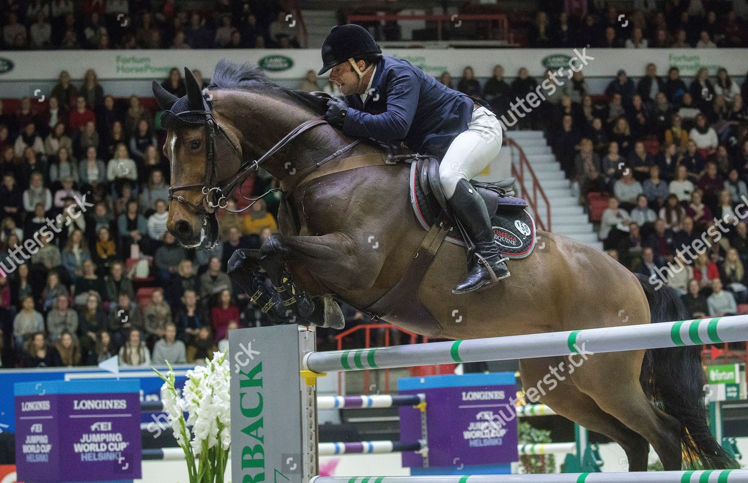 Robert Whitaker Horse Catwalk Iv Competes Editorial Stock Photo Stock Image Shutterstock
