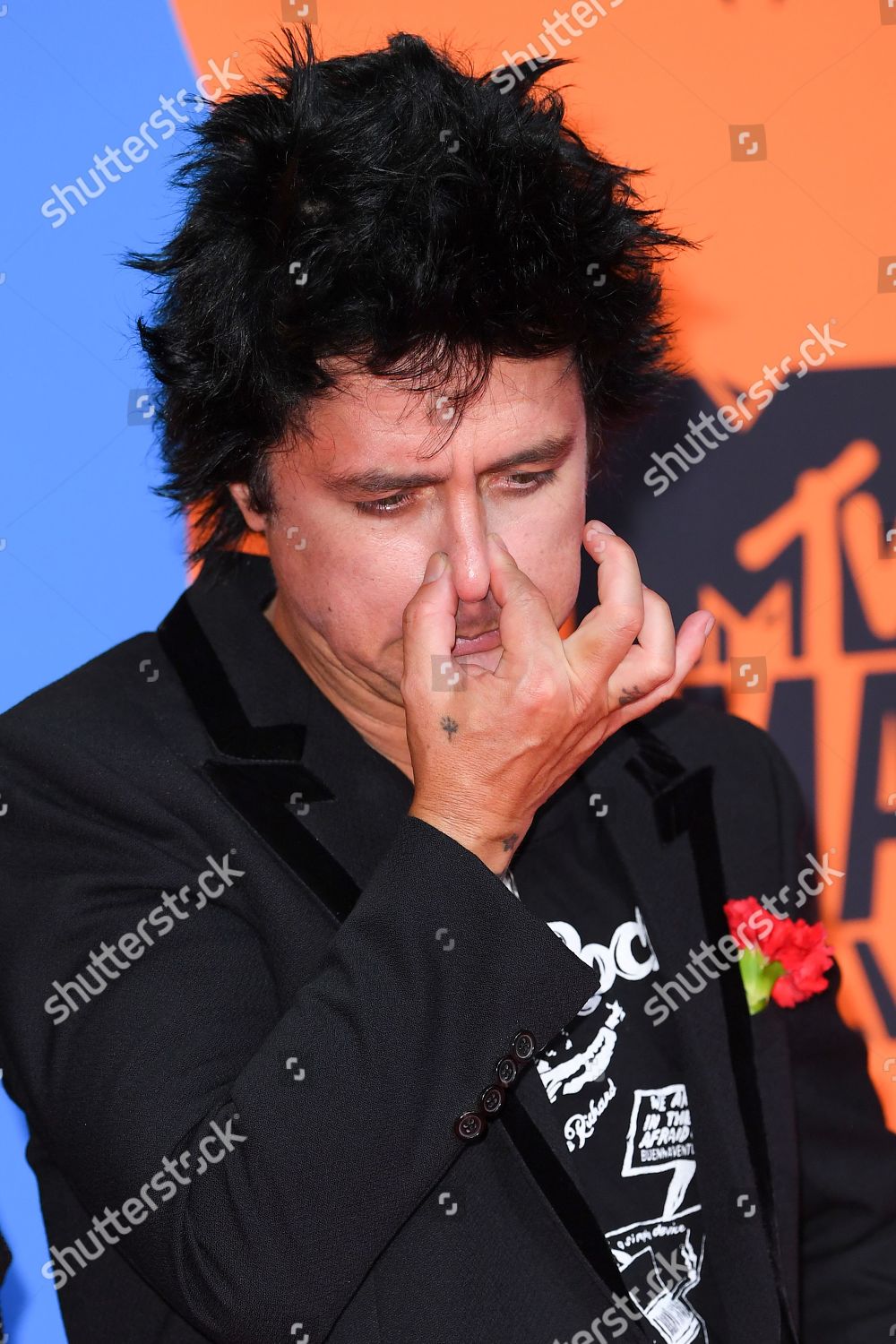 Green Day Billie Joe Armstrong Editorial Stock Photo Stock Image
