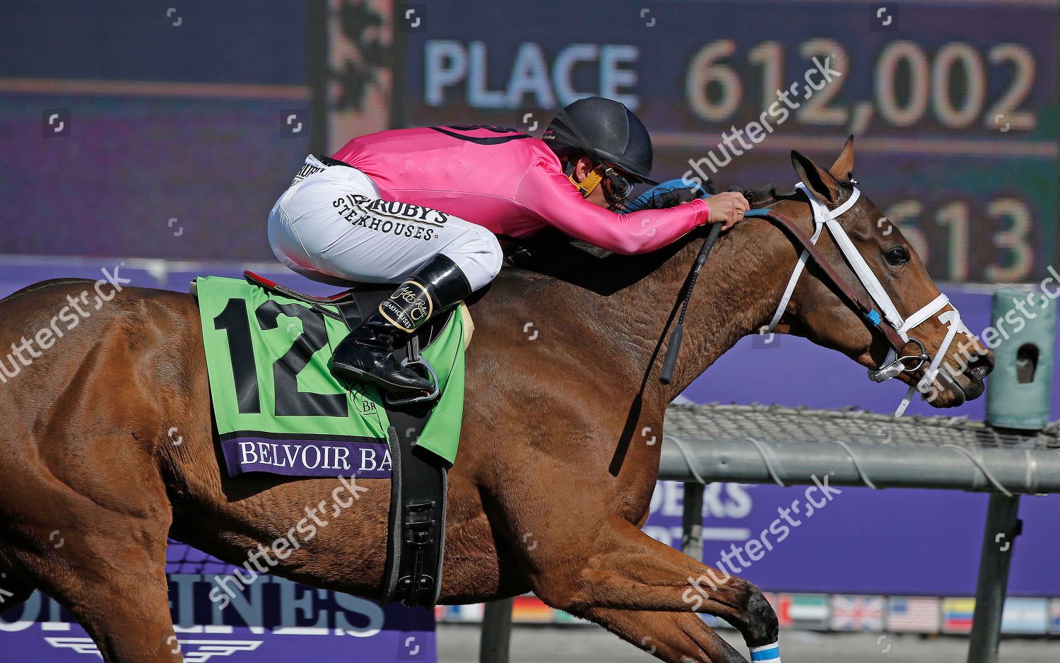 Santa Anita Breeders Cup Turf Sprint Editorial Stock Photo Stock