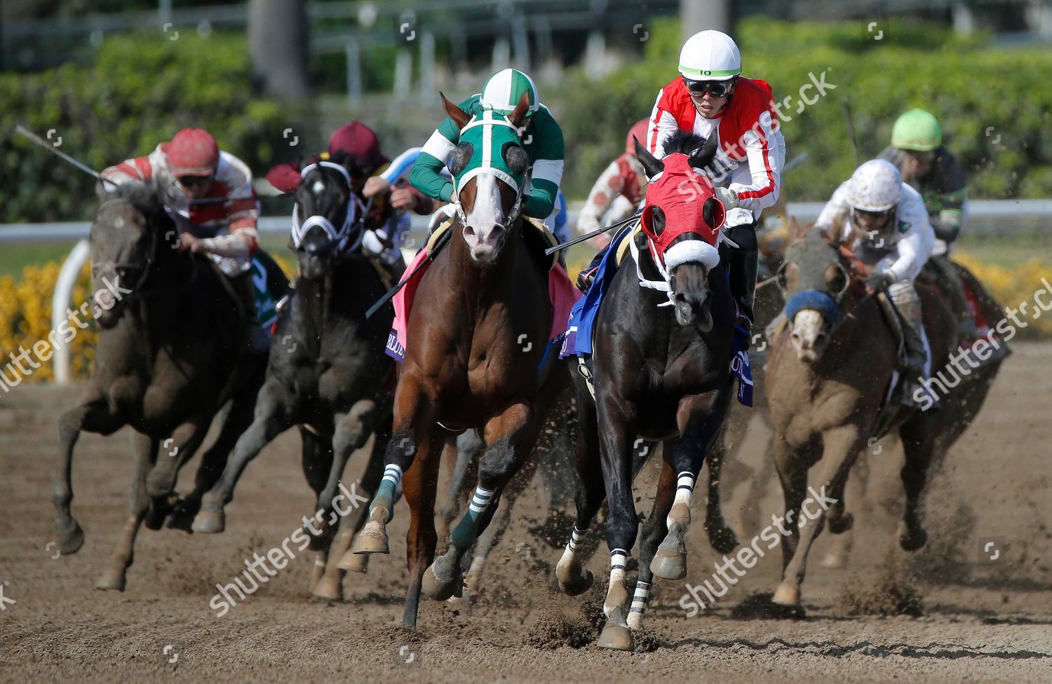 Santa Anita Breeders Cup Dirt Mile Editorial Stock Photo Stock Image