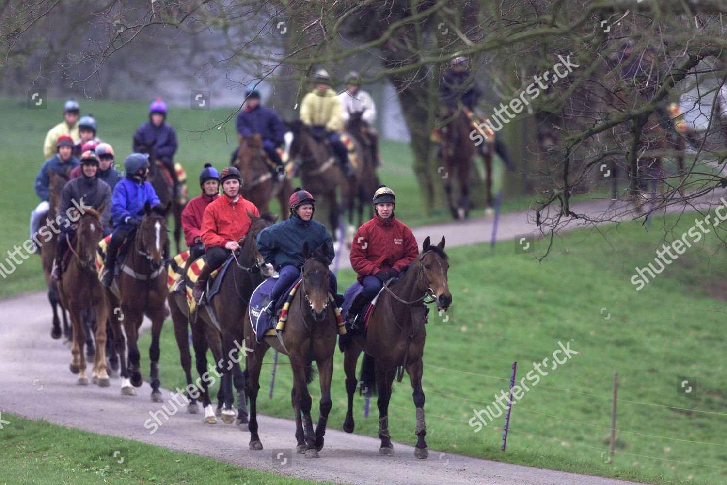 Grand National Horses Downton Hall Stables Editorial Stock Photo