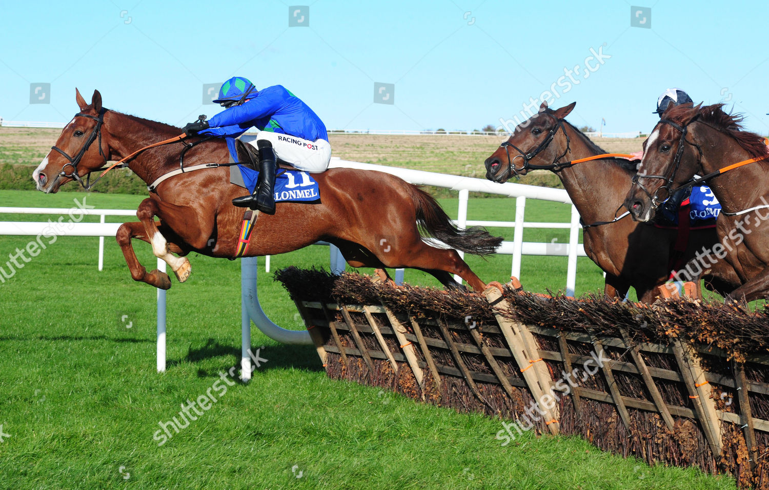 8+ Todays horse racing results at clonmel best advice