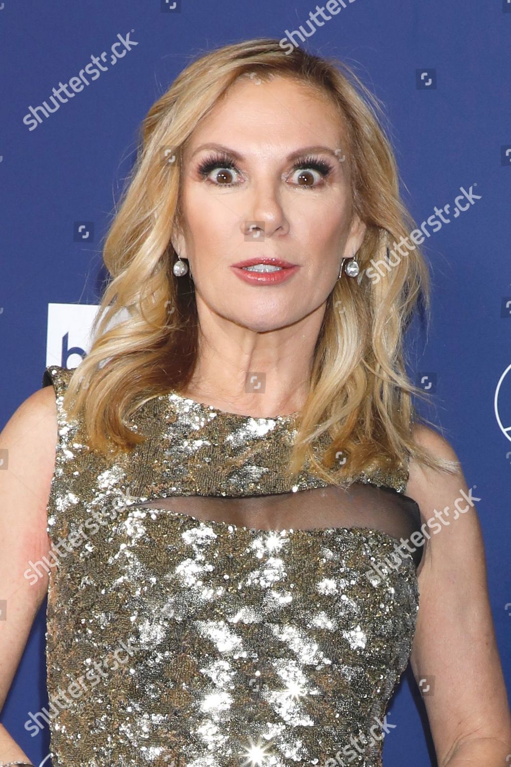 Ramona Singer Editorial Stock Photo - Stock Image | Shutterstock