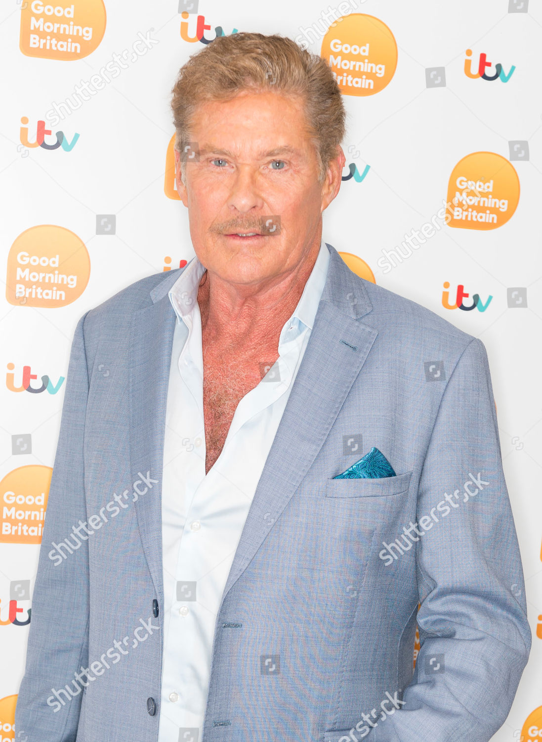 David Hasselhoff Editorial Stock Photo - Stock Image | Shutterstock