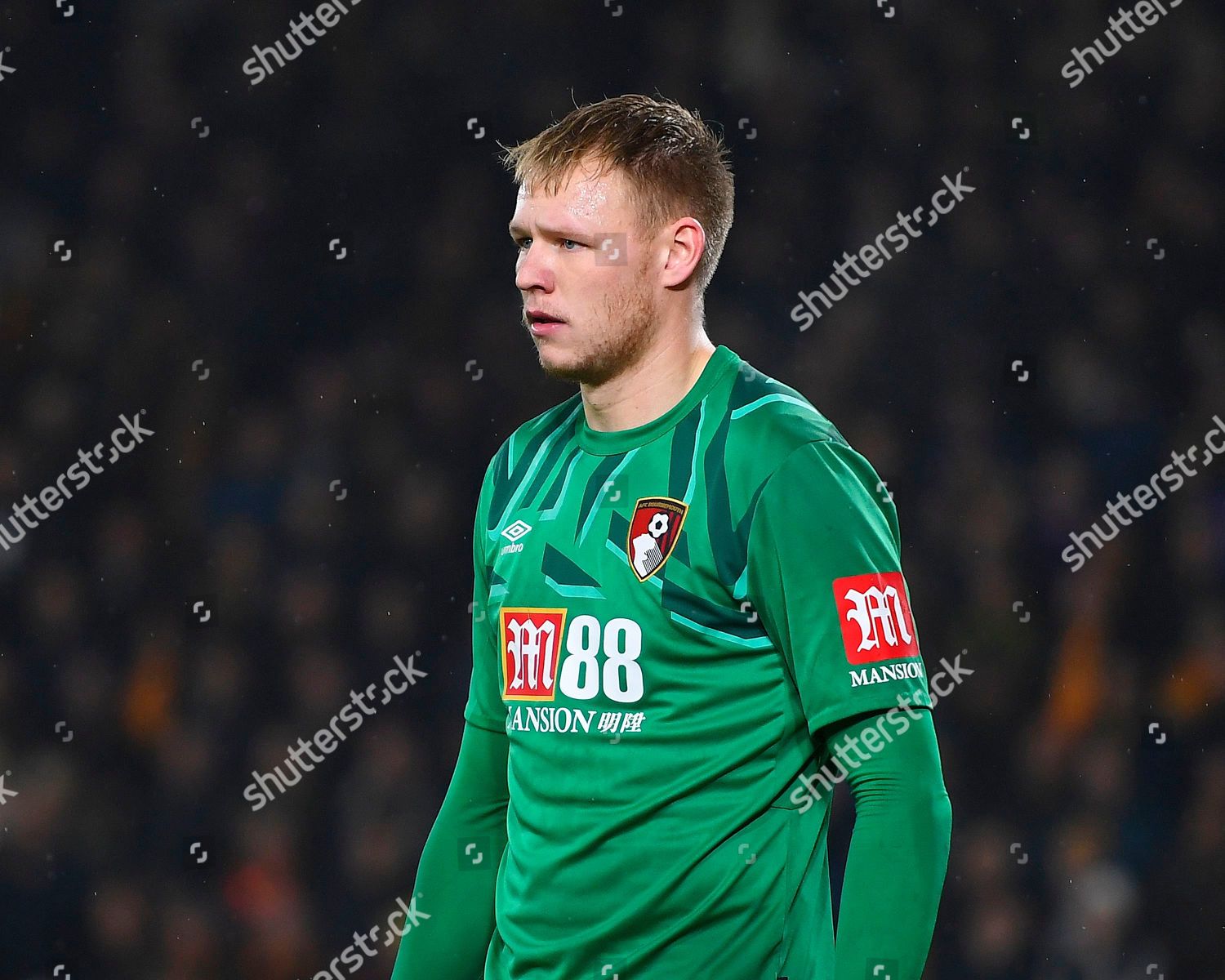 Aaron Ramsdale Afc Bournemouth During Afc Editorial Stock Photo Stock