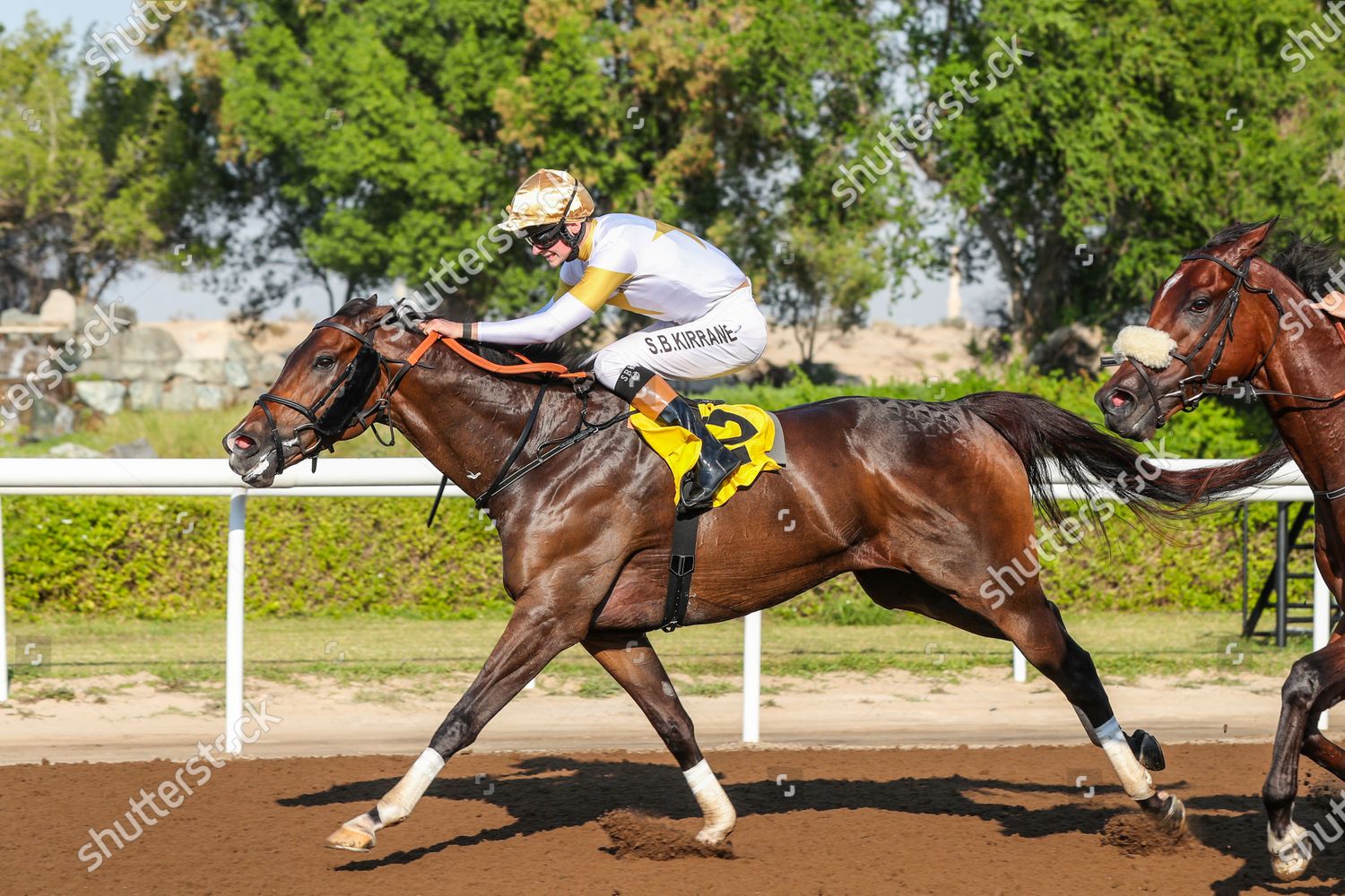 AU COEUR IRE ridden by Sean Kirrane Editorial Stock Photo - Stock Image