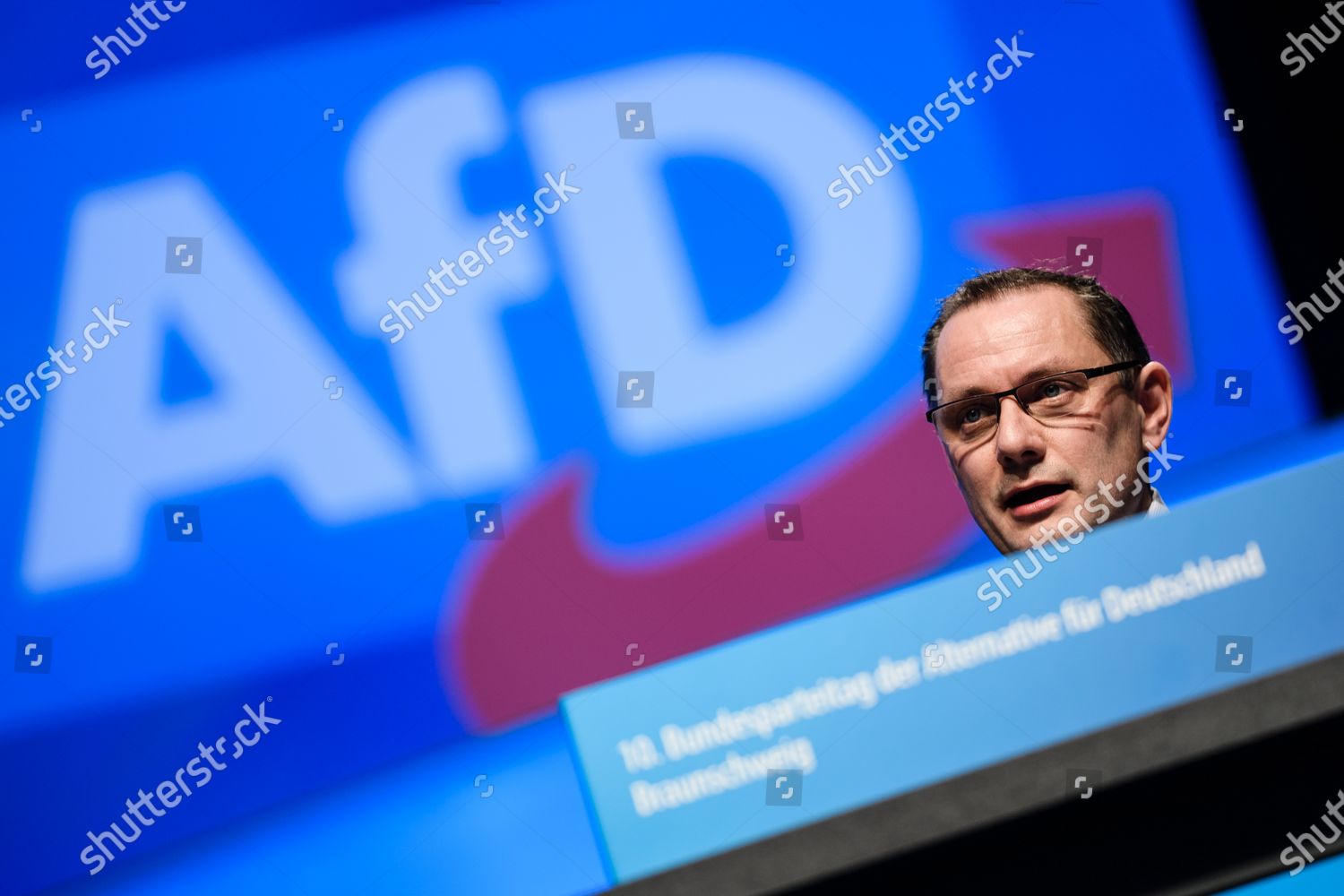 Alternative Germany Party Afd Faction Cochairman Editorial Stock Photo