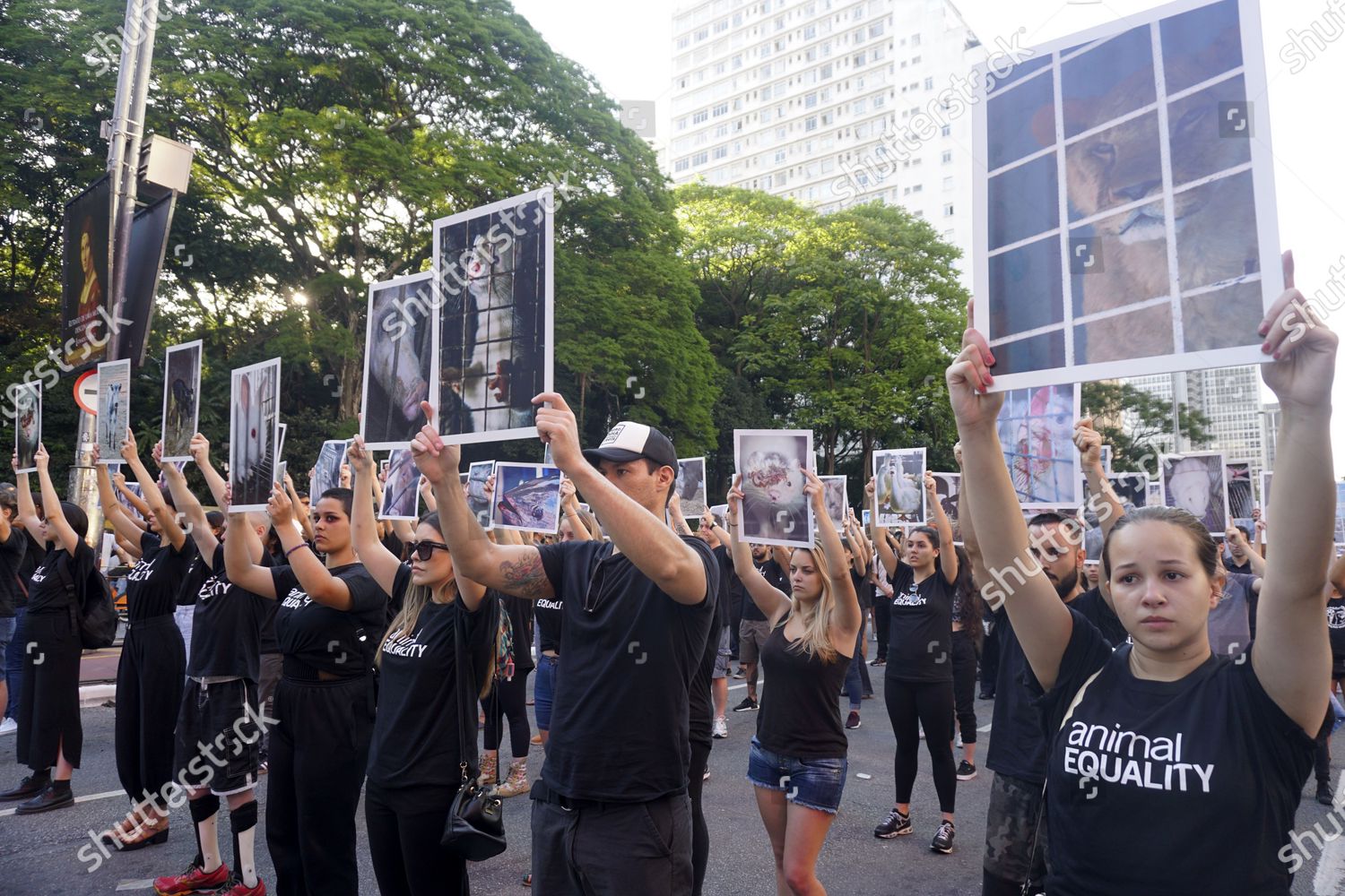 Animal Rights Activists Animal Equality Brazil Hold Editorial Stock Photo Stock Image Shutterstock