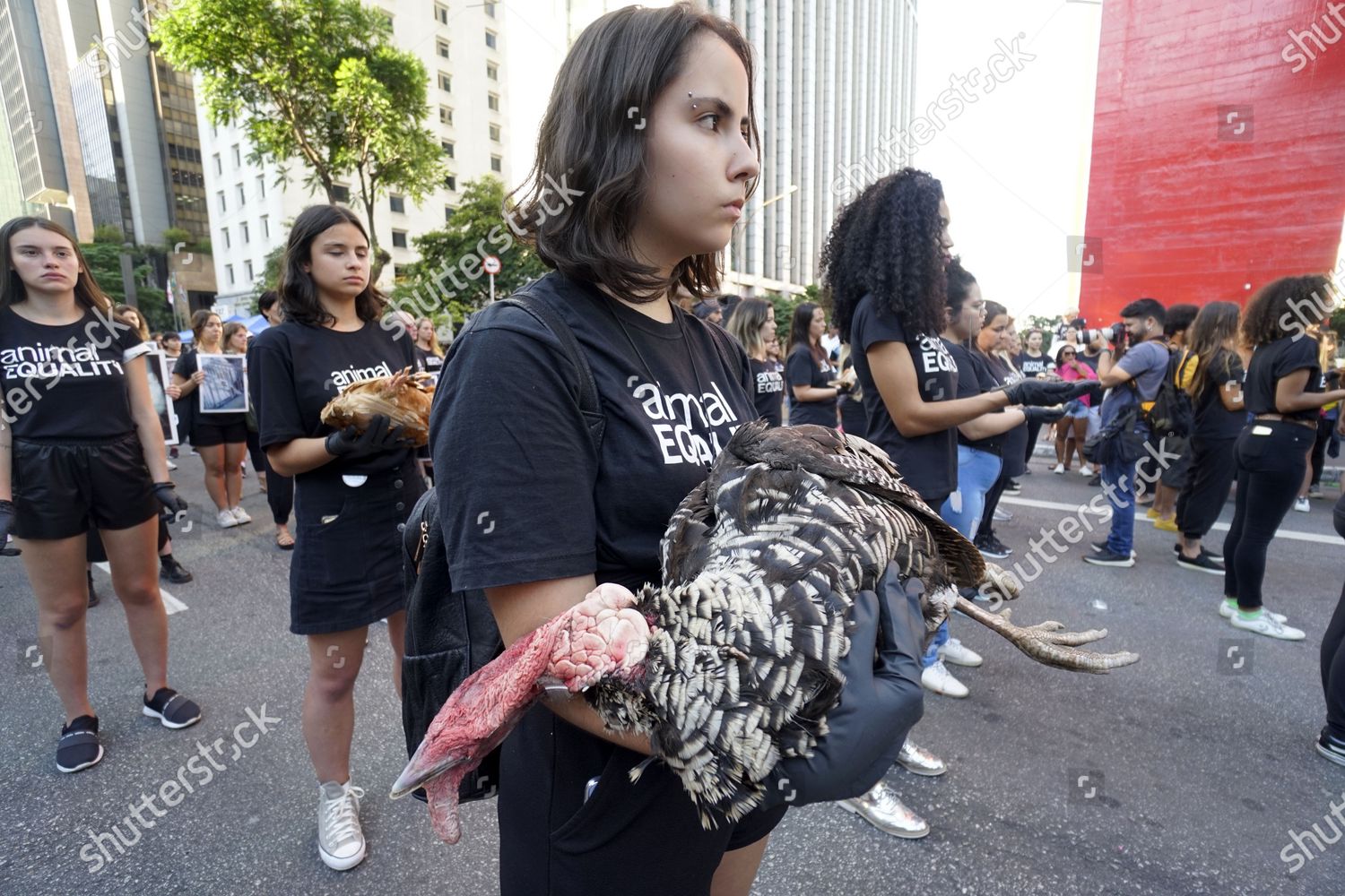 Animal Rights Activists Animal Equality Brazil Hold Editorial Stock Photo Stock Image Shutterstock