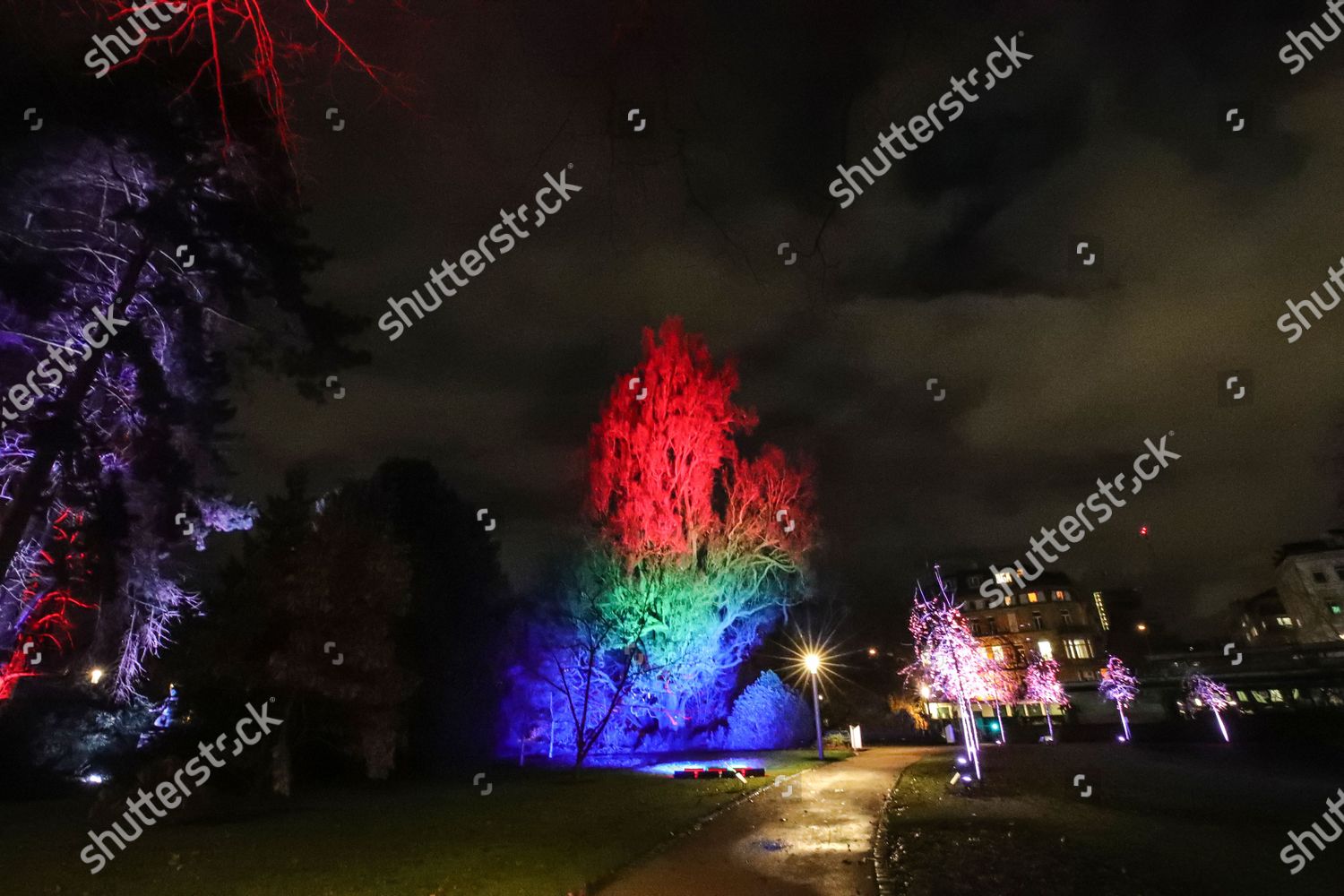 Tree Turned Artwork Winter Lights Exhibition Palmengarten