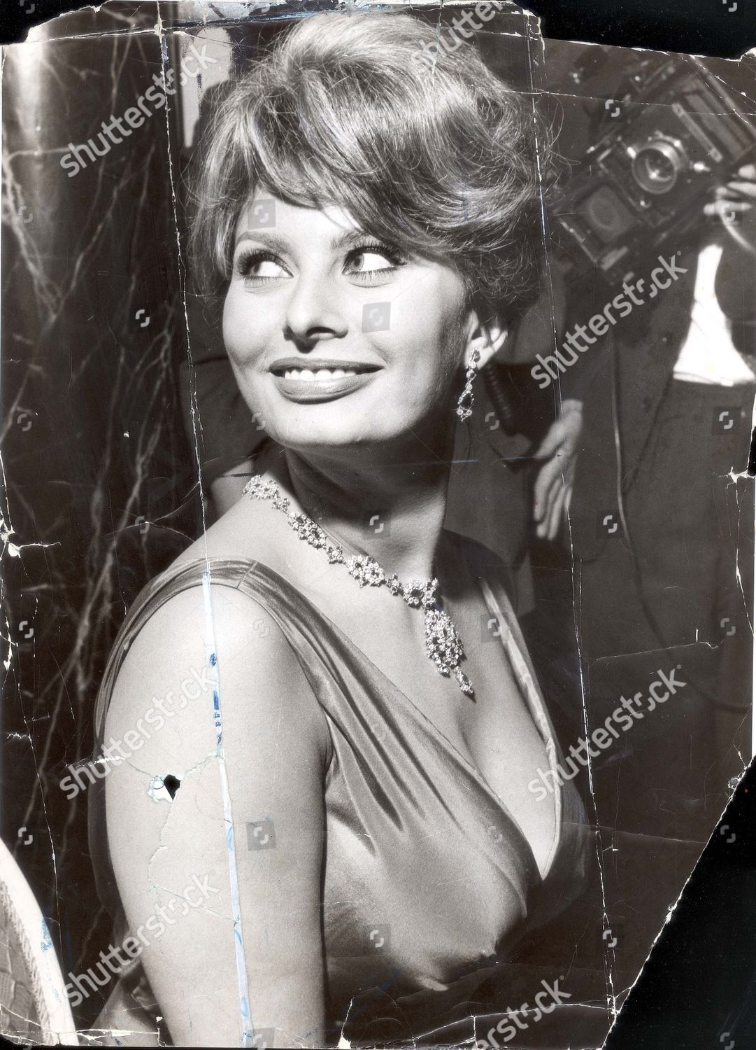 Download Sophie loren actress Free HD
