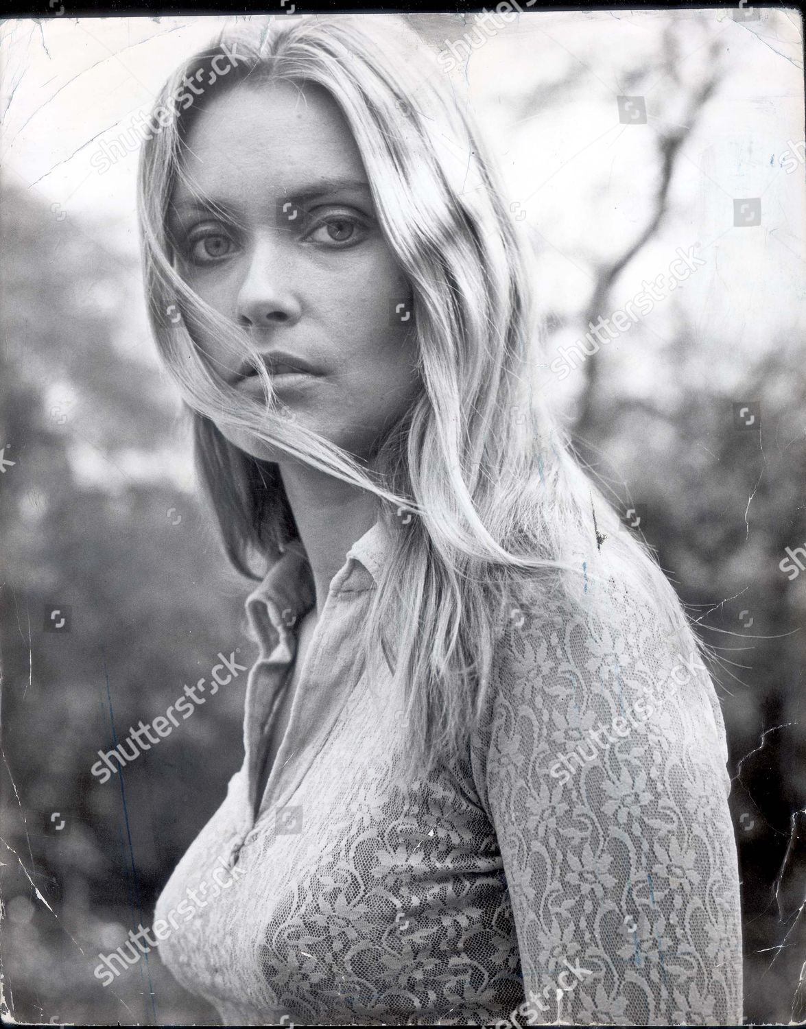 Alexandra bastedo photos