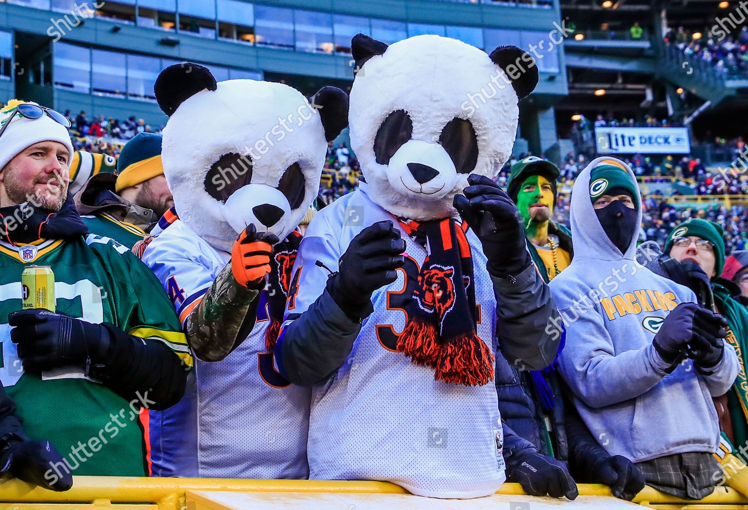 Chicago Bears Fans Dressed Pandas Weather 16 Foto Editorial En Stock Imagen En Stock Shutterstock