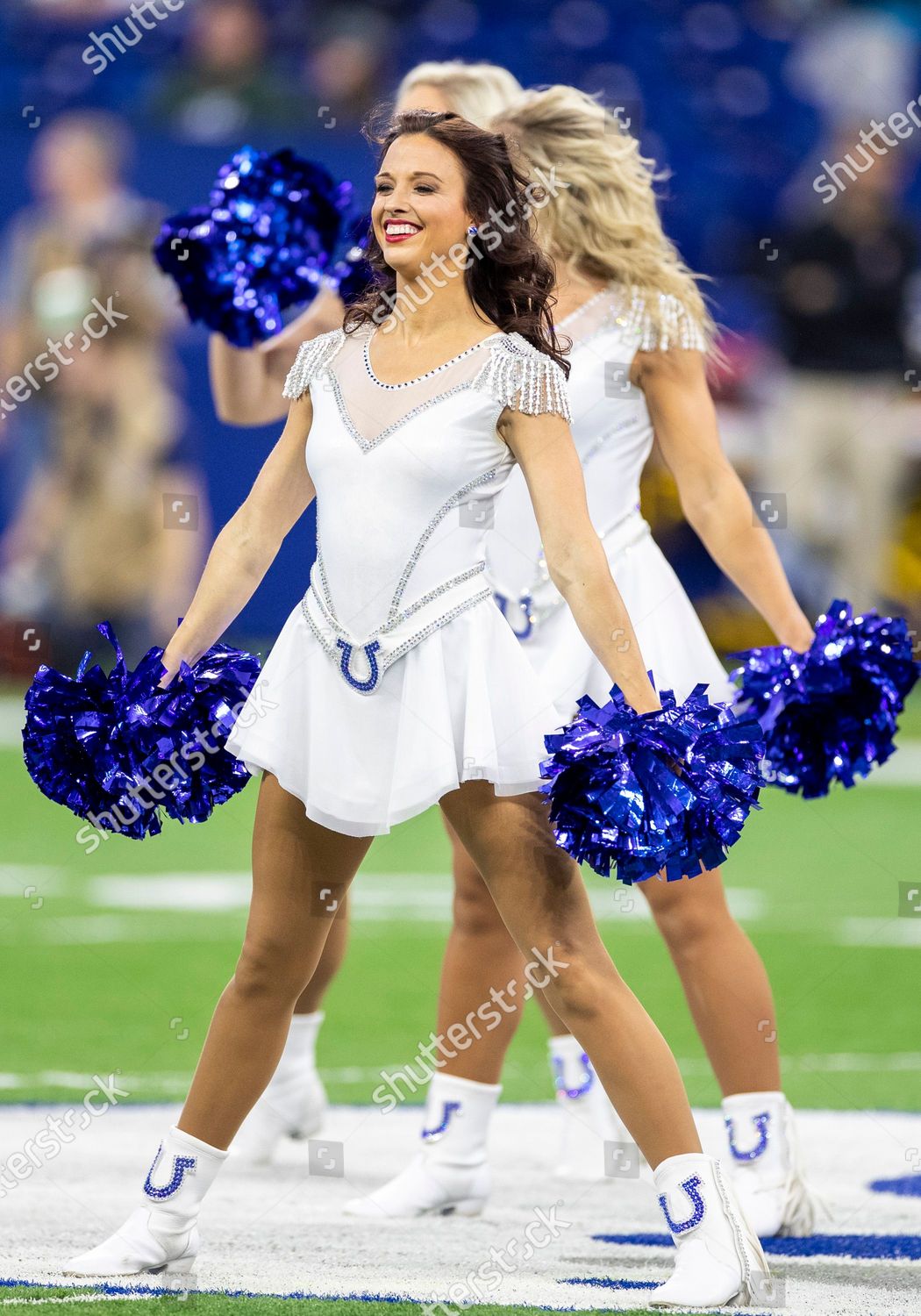 Carolina Panthers Cheerleader During Nfl Football Editorial Stock Photo -  Stock Image