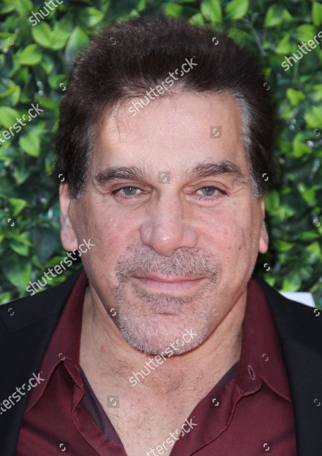 Lou Ferrigno Editorial Stock Photo - Stock Image | Shutterstock