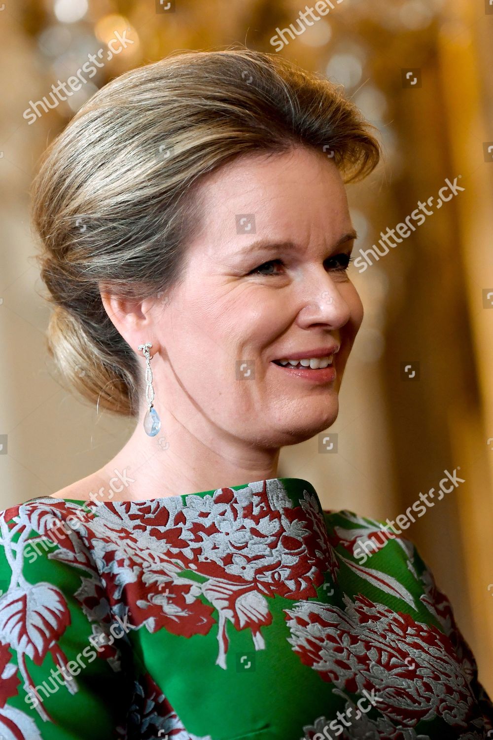 CASA REAL BELGA - Página 93 King-philippe-and-queen-mathilde-receive-the-heads-of-diplomatic-missions-brussels-belgium-shutterstock-editorial-10525487p