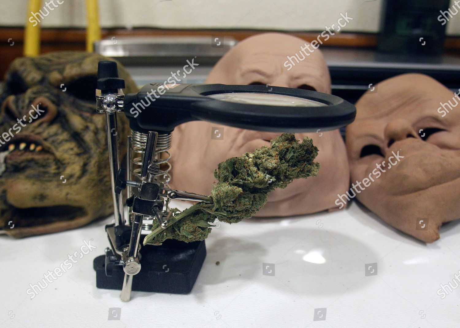 Seized Material Displayed By Spanish Civil Editorial Stock Photo Stock Image Shutterstock