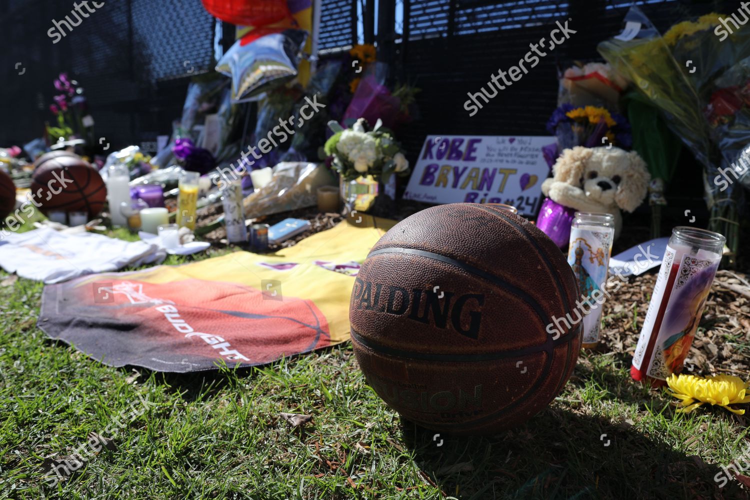 Flowers Basketballs Other Memorabilia Left Park Near Editorial Stock Photo Stock Image Shutterstock