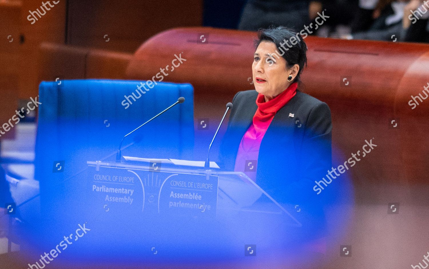 President Salome Zourabichvili Delivers Her Editorial Stock