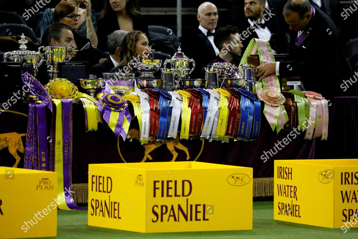 Ribbons Trophys Sit On Judges Table Editorial Stock Photo - Stock Image ...
