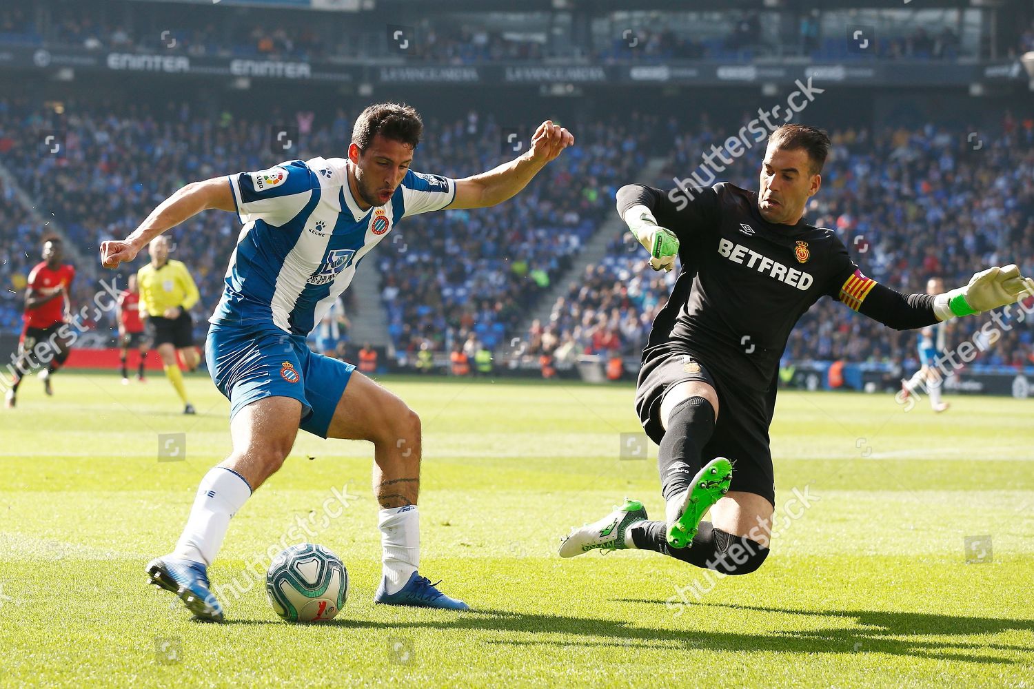 Jonathan Calleri Espanyol Mallorca Goalkeeper Manolo Reina Editorial Stock Photo Stock Image Shutterstock